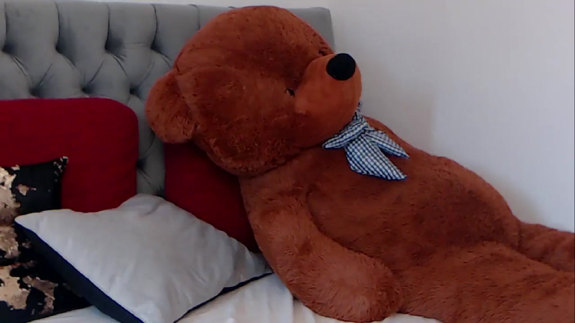 Gallery image thumbnail from BreeKanne's myfreecams stream on, 03/18/2026, 08:48 image 20 of 20