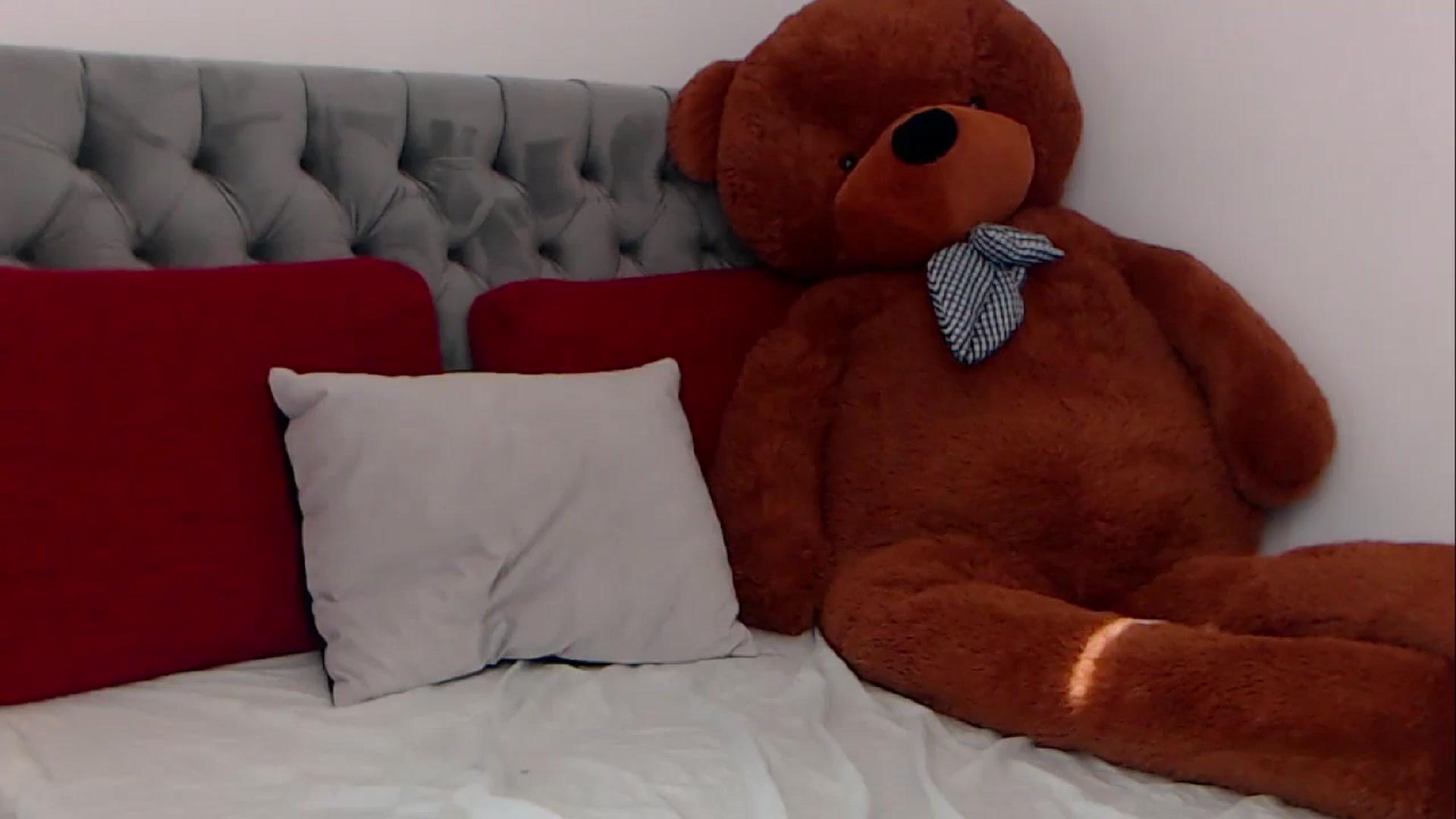 Gallery image thumbnail from BreeKanne's myfreecams stream on, 03/20/2026, 14:26 image 14 of 20