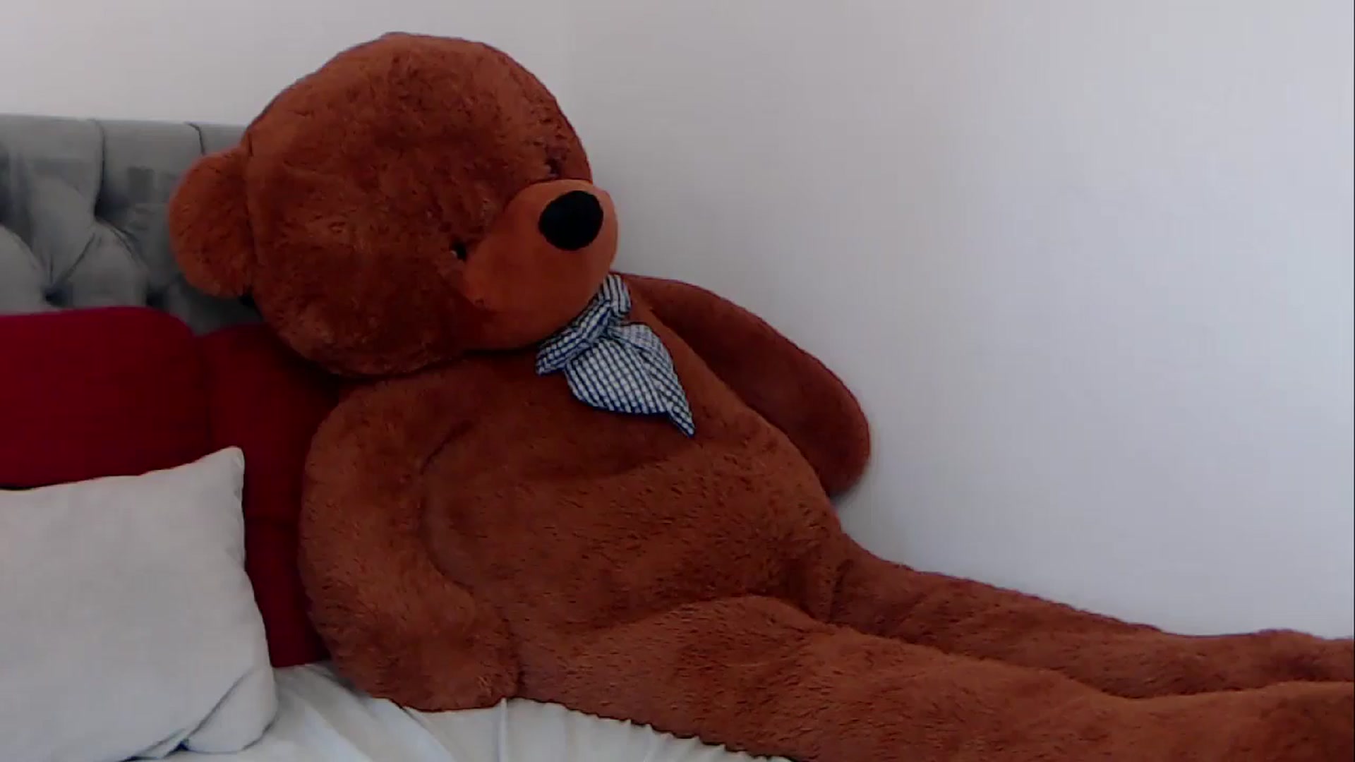 Gallery image thumbnail from BreeKanne's myfreecams stream on, 03/25/2026, 11:00 image 20 of 20