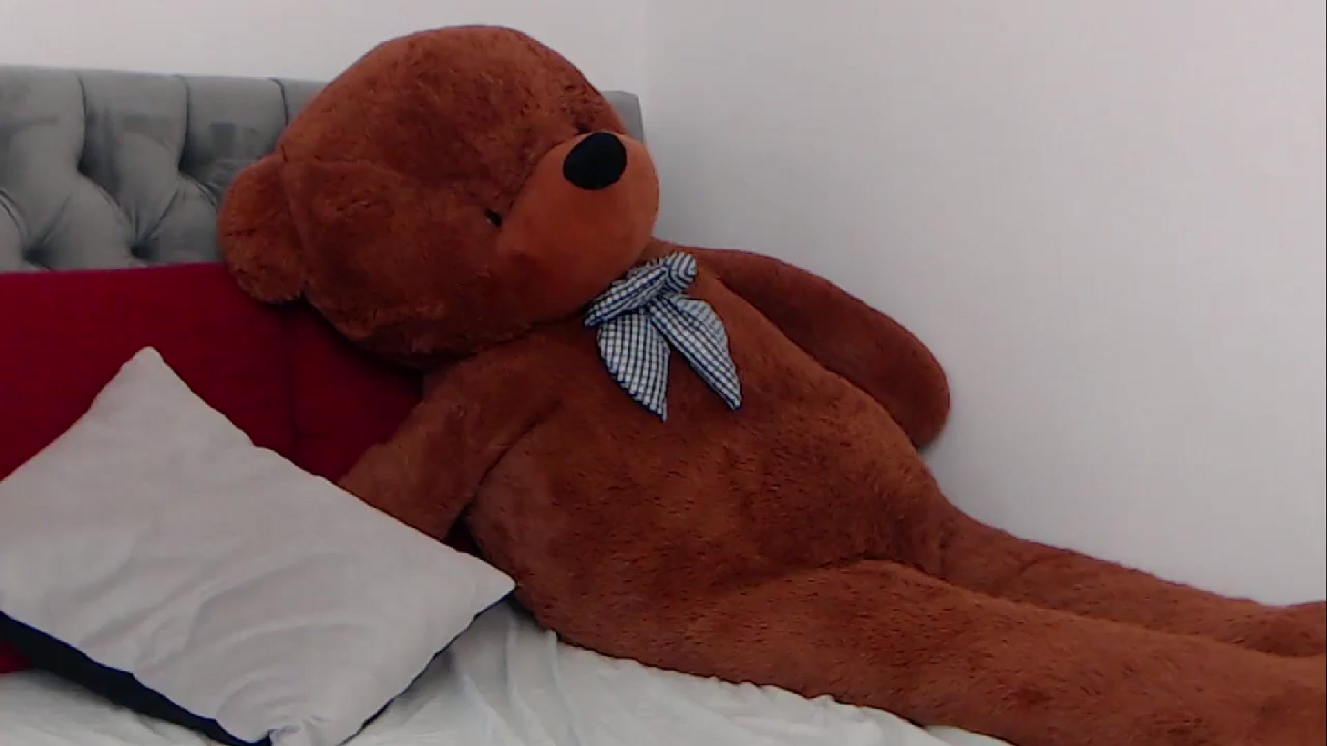 Gallery image thumbnail from BreeKanne's myfreecams stream on, 03/27/2026, 10:44 image 8 of 20