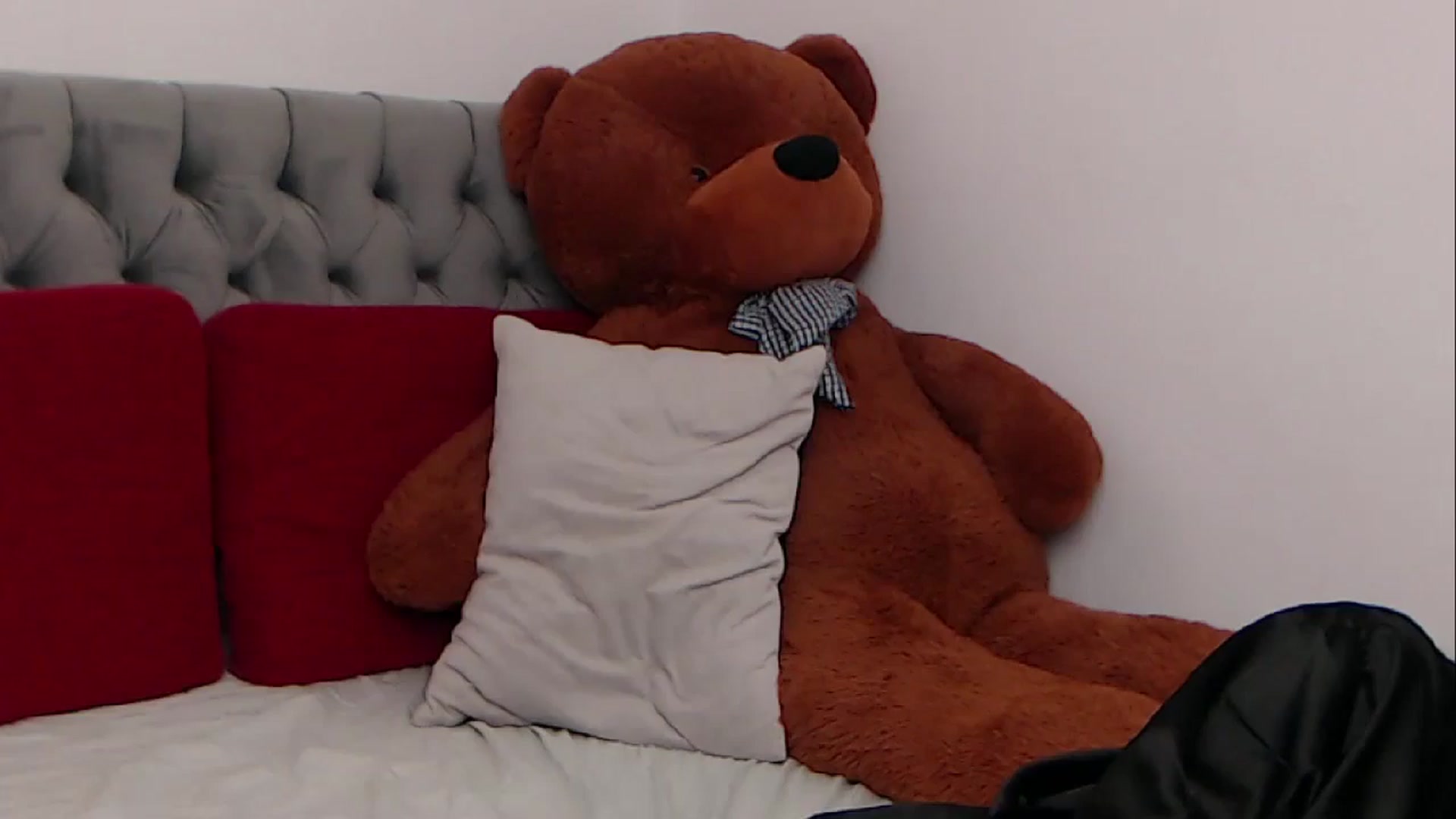 Gallery image thumbnail from BreeKanne's myfreecams stream on, 04/03/2026, 08:45 image 10 of 20