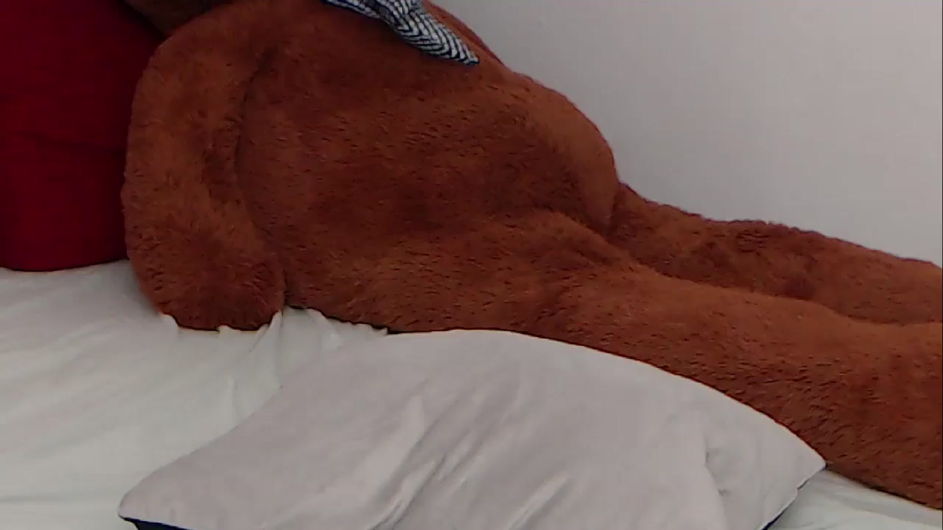Gallery image thumbnail from BreeKanne's myfreecams stream on, 04/08/2026, 09:49 image 9 of 20