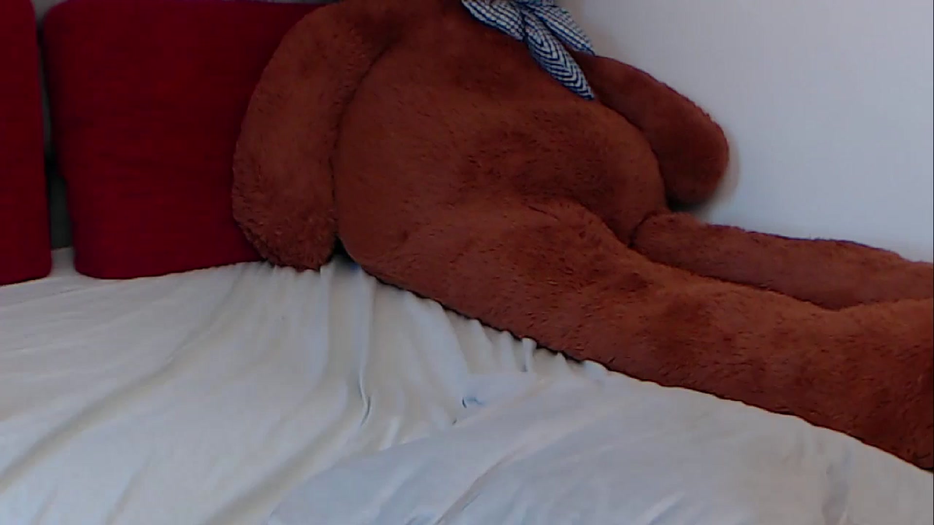 Gallery image thumbnail from BreeKanne's myfreecams stream on, 04/16/2026, 10:32 image 20 of 20