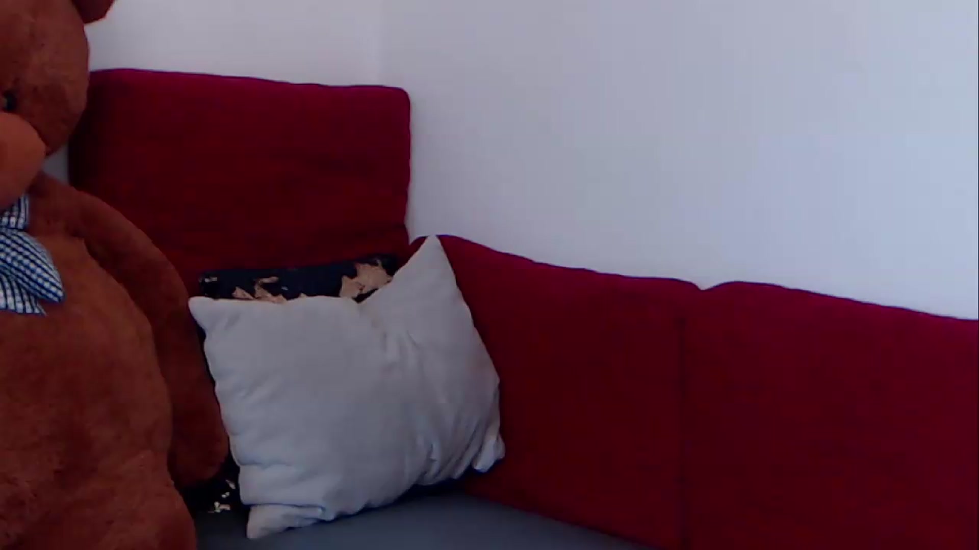 Gallery image thumbnail from BreeKanne's myfreecams stream on, 08/09/2026, 09:58 image 13 of 20