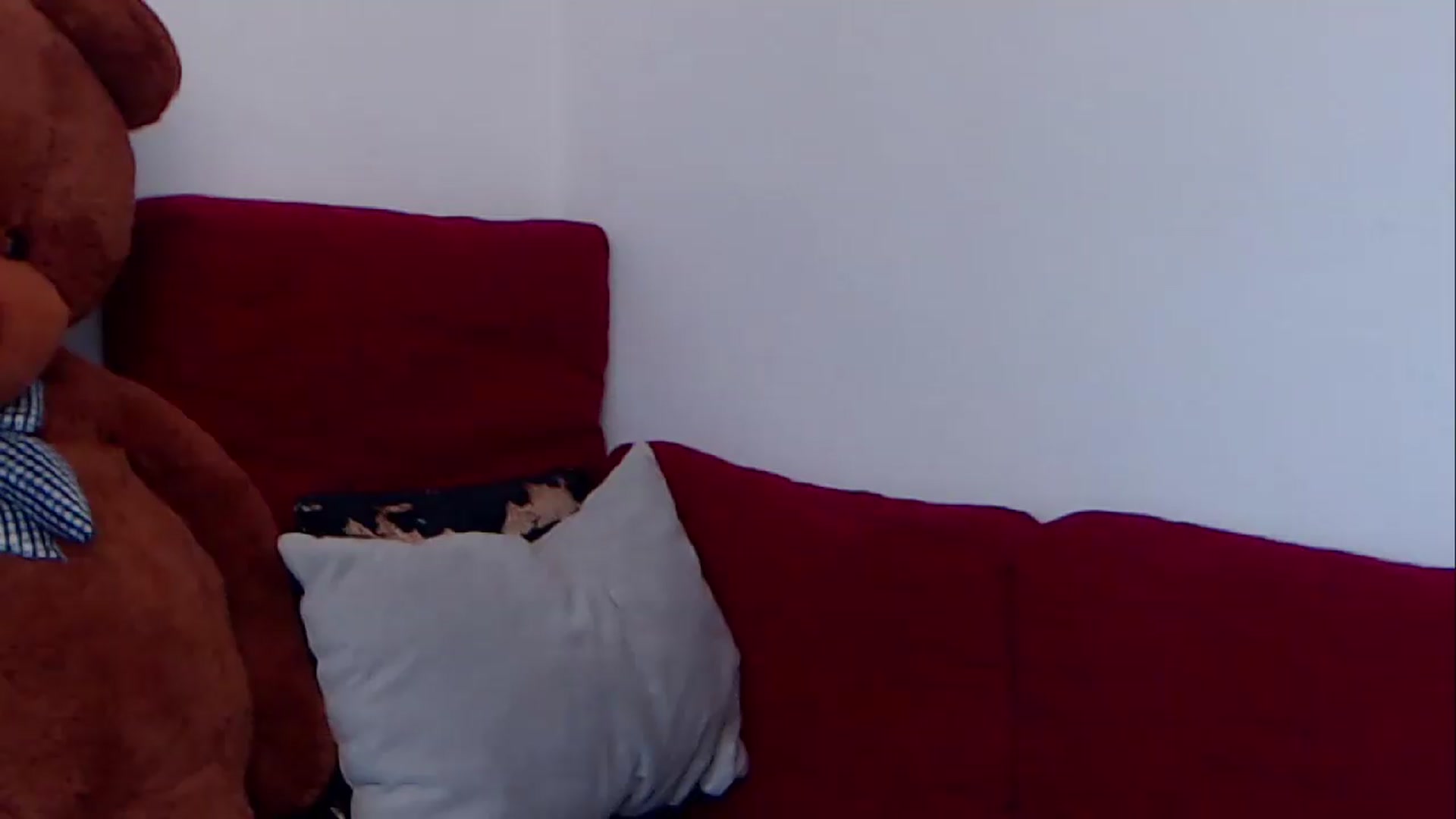 Gallery image thumbnail from BreeKanne's myfreecams stream on, 08/09/2026, 09:58 image 3 of 20