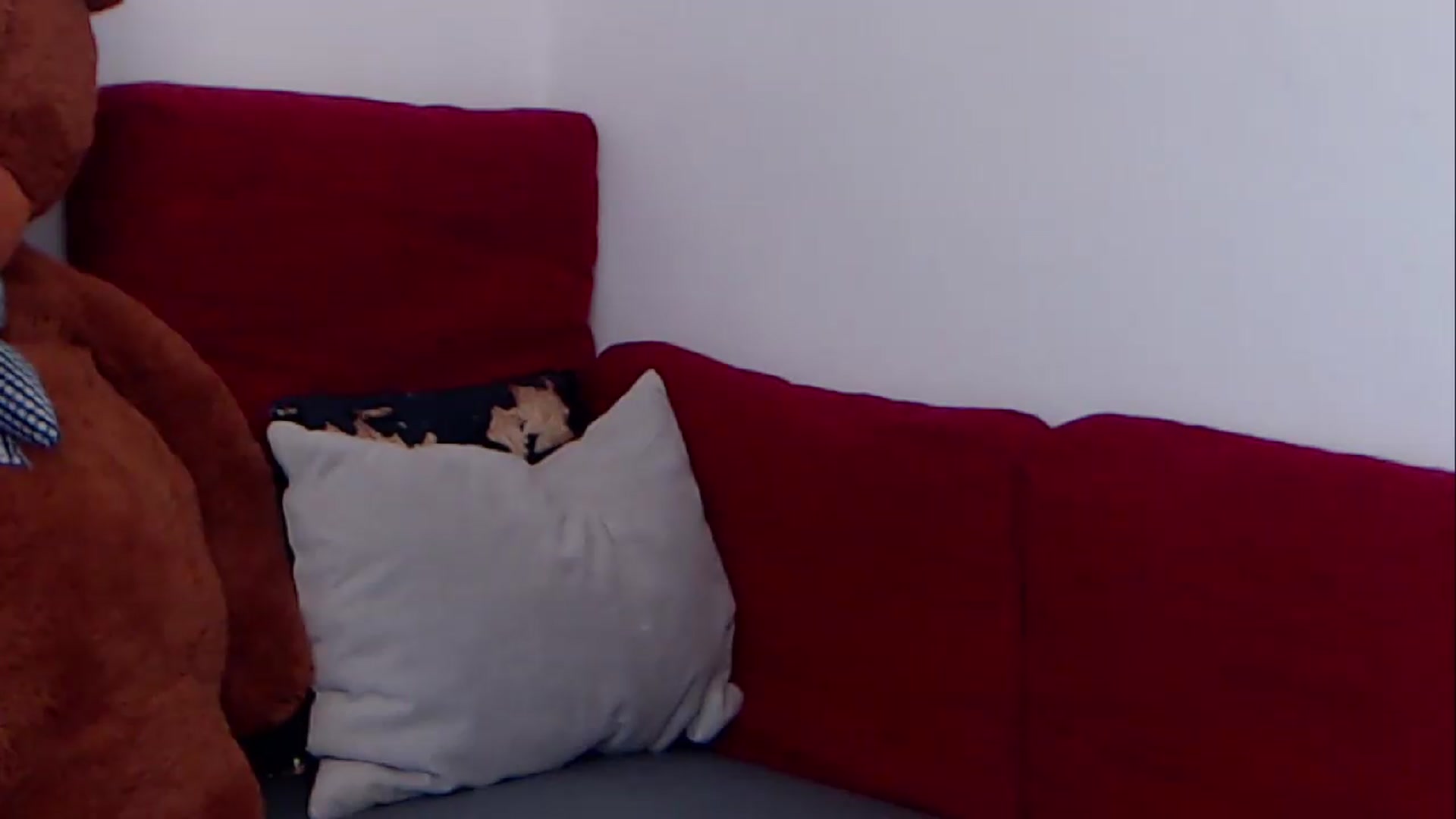 Gallery image thumbnail from BreeKanne's myfreecams stream on, 08/09/2026, 11:01 image 18 of 20