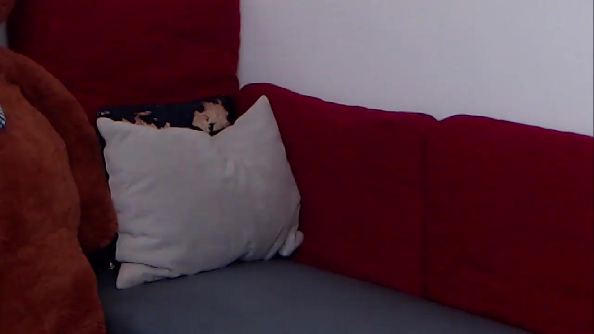 Gallery image thumbnail from BreeKanne's myfreecams stream on, 08/09/2026, 11:01 image 1 of 20