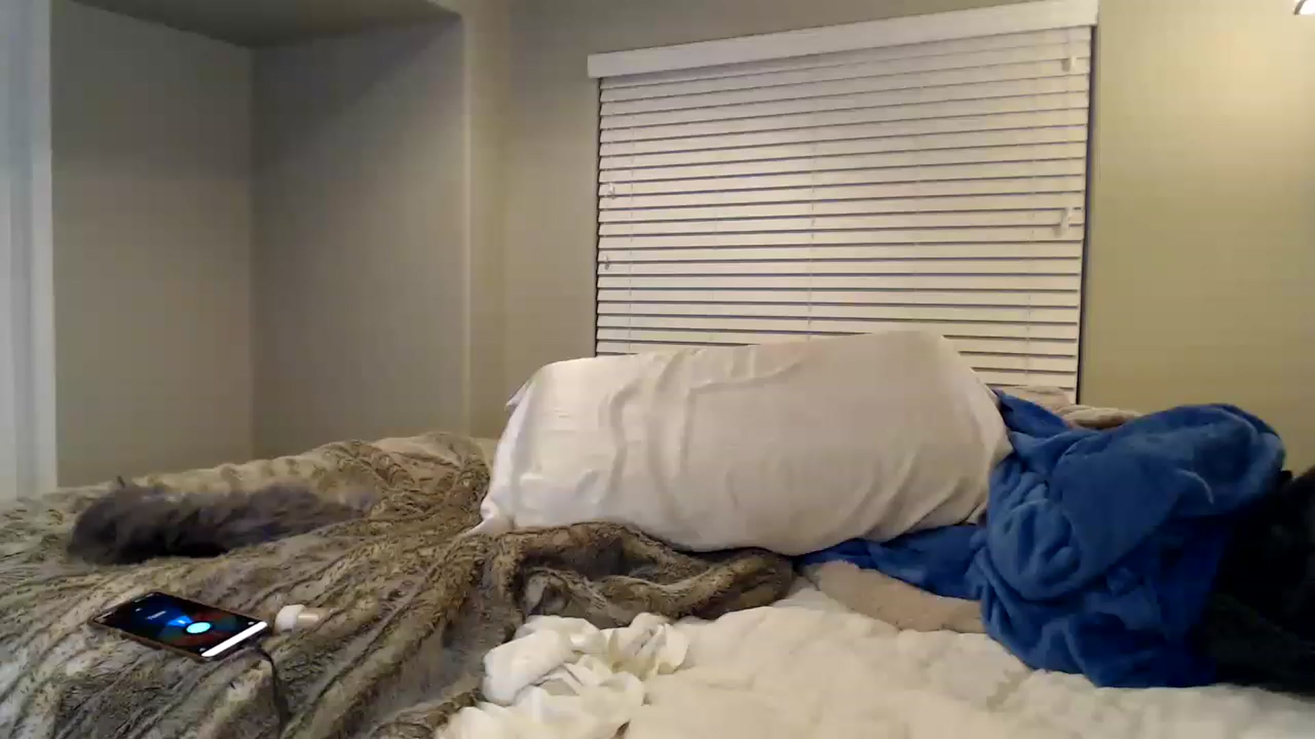 Gallery image thumbnail from Bree_xoxo's myfreecams stream on, 01/21/2023, 03:01 image 19 of 20