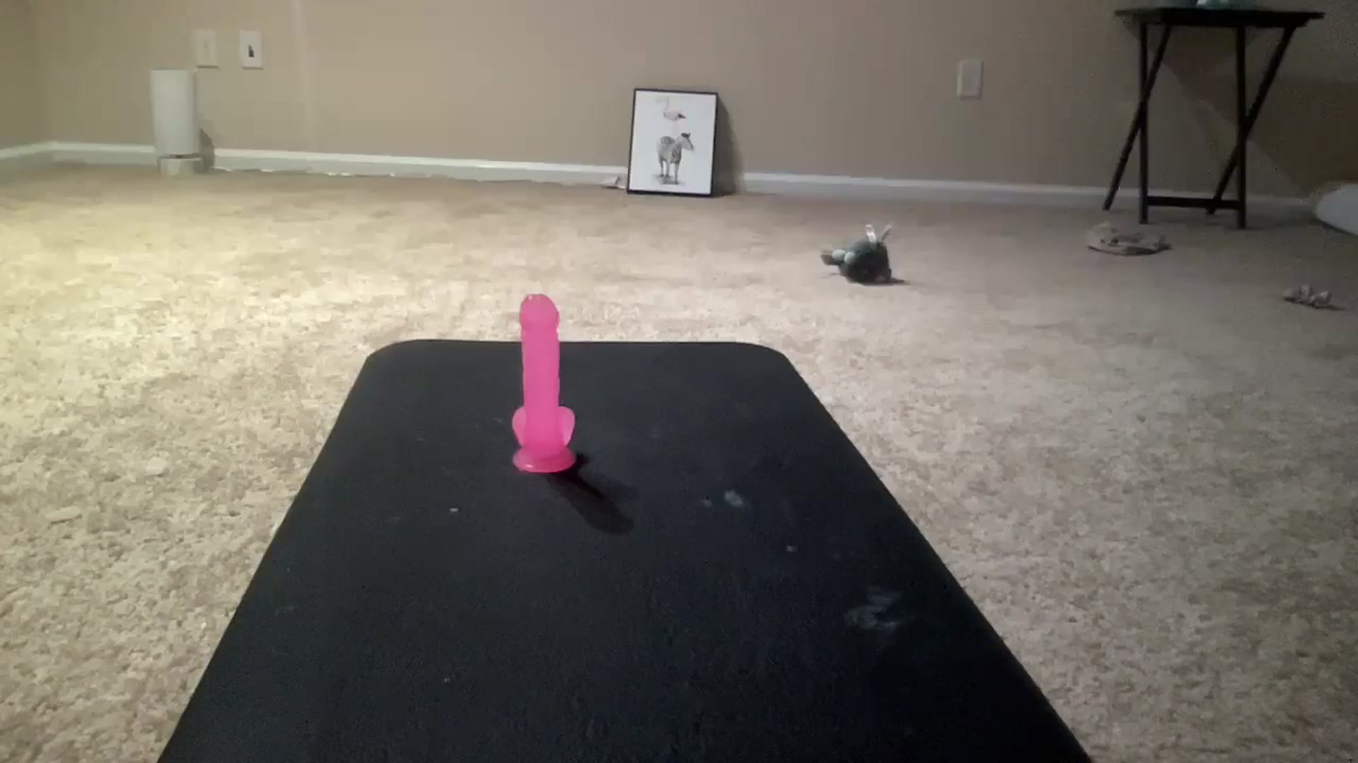 Gallery image thumbnail from BreesBirthday's myfreecams stream on, 06/05/2024, 07:16 image 18 of 20