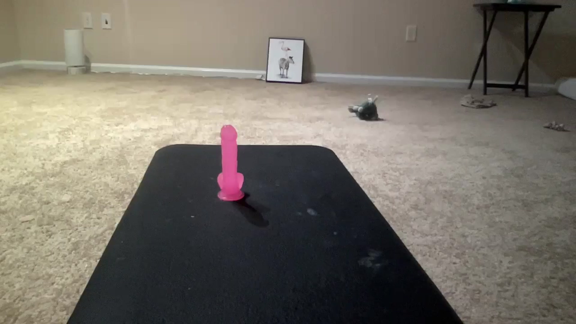 Gallery image thumbnail from BreesBirthday's myfreecams stream on, 06/05/2024, 07:16 image 13 of 20