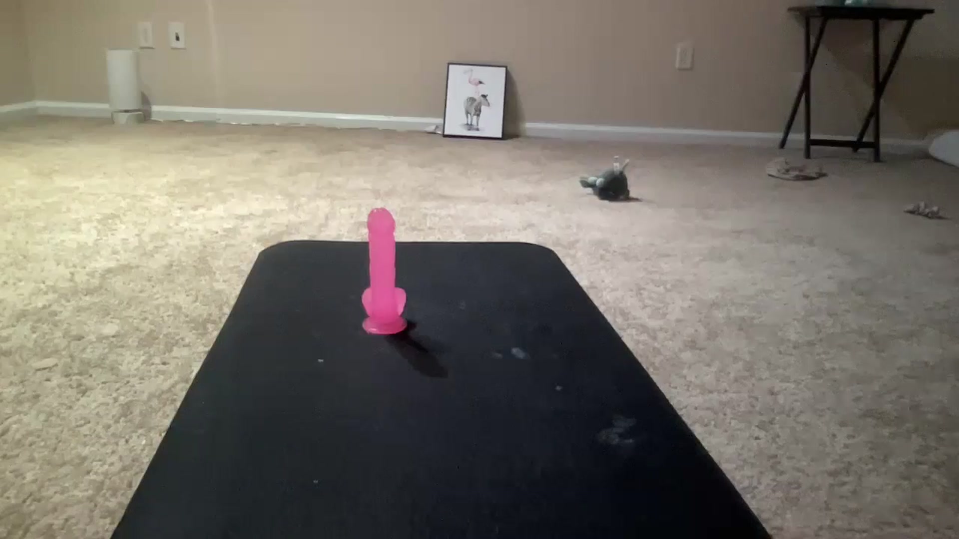 Gallery image thumbnail from BreesBirthday's myfreecams stream on, 06/05/2024, 07:16 image 9 of 20