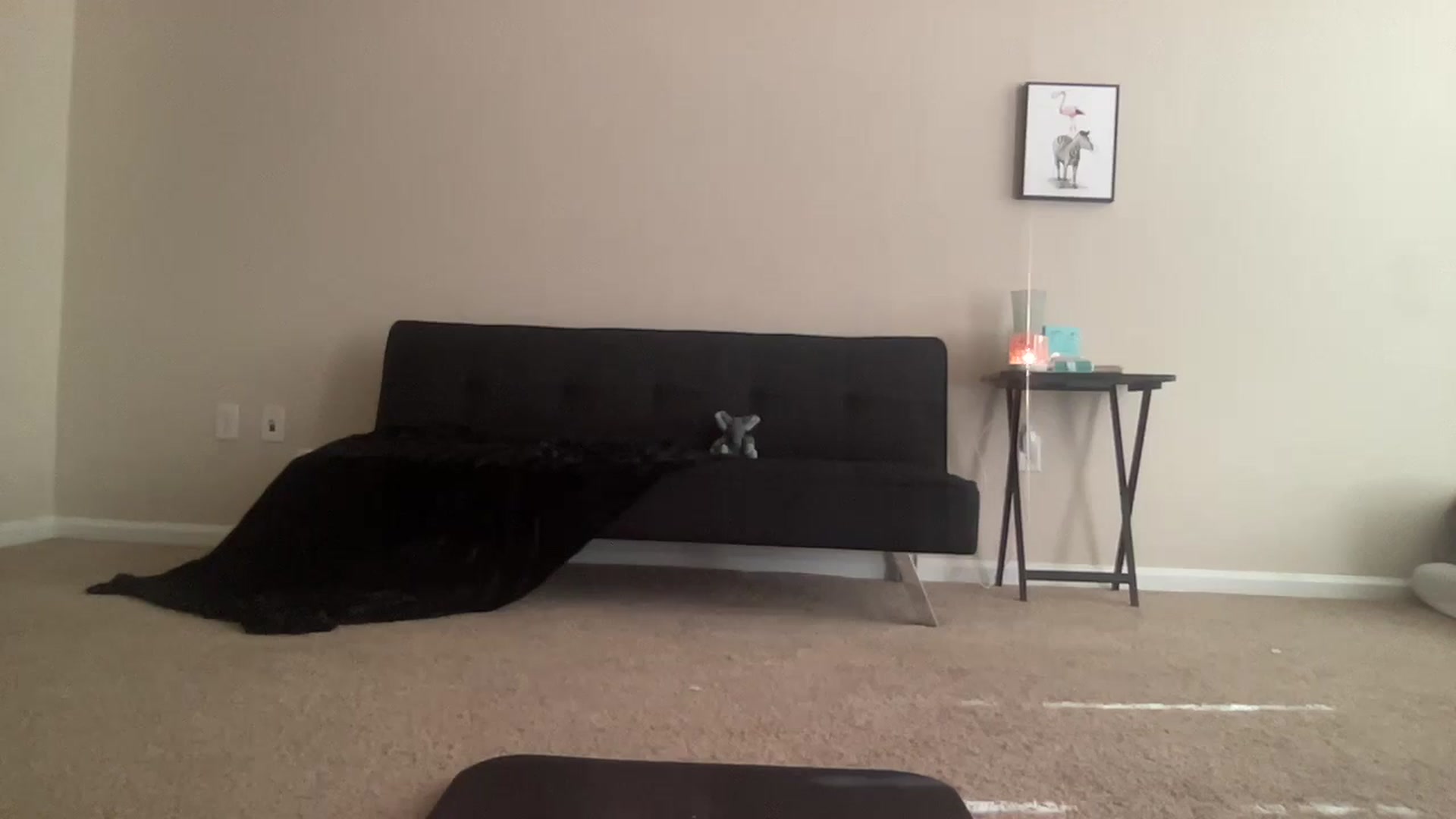 Gallery image thumbnail from BreesBirthday's myfreecams stream on, 06/07/2024, 15:23 image 7 of 20
