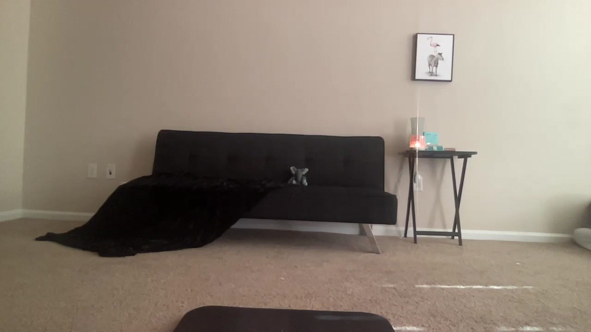 Gallery image thumbnail from BreesBirthday's myfreecams stream on, 06/07/2024, 15:23 image 6 of 20