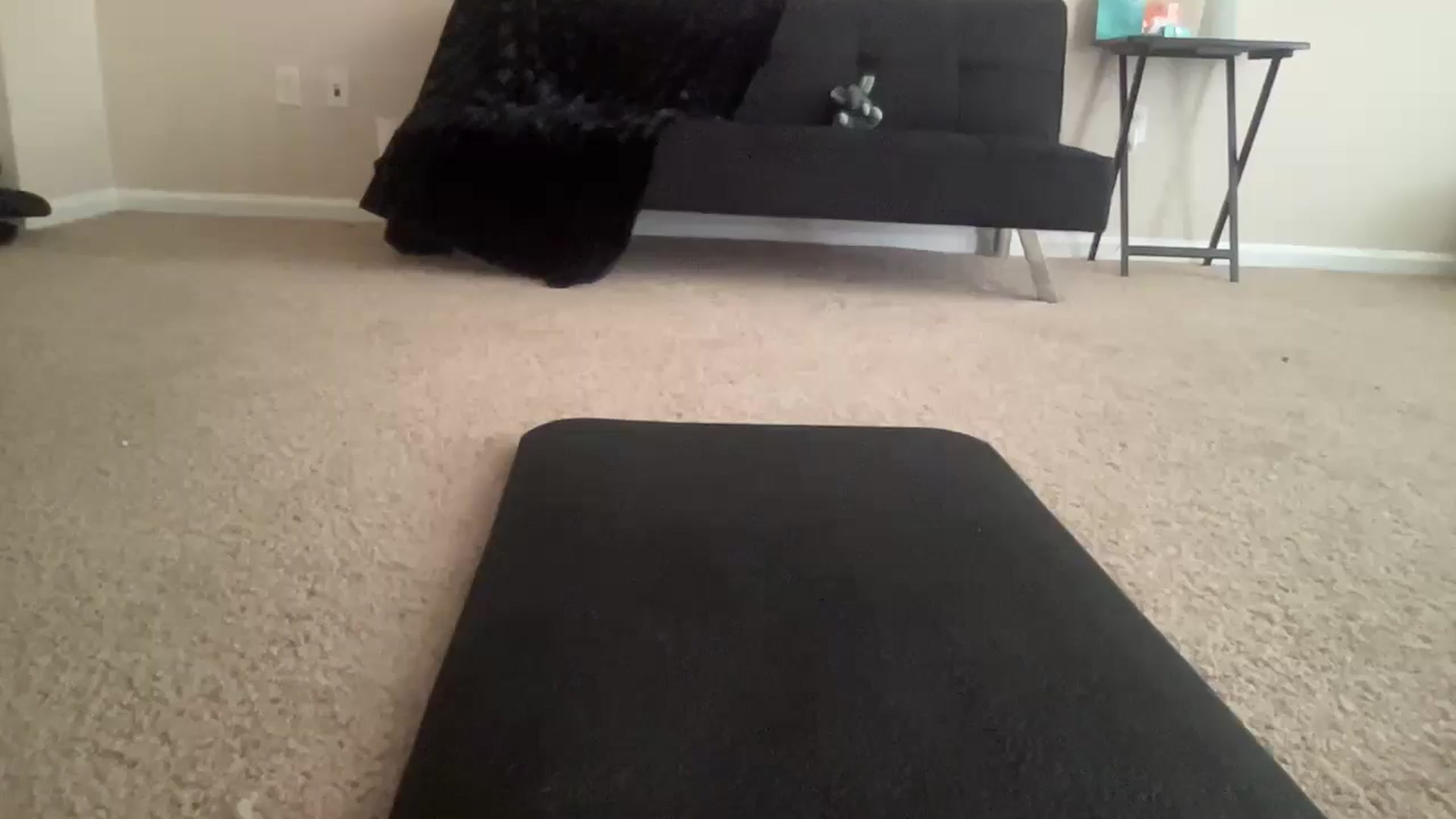 Gallery image thumbnail from BreesBirthday's myfreecams stream on, 06/13/2024, 15:56 image 6 of 20