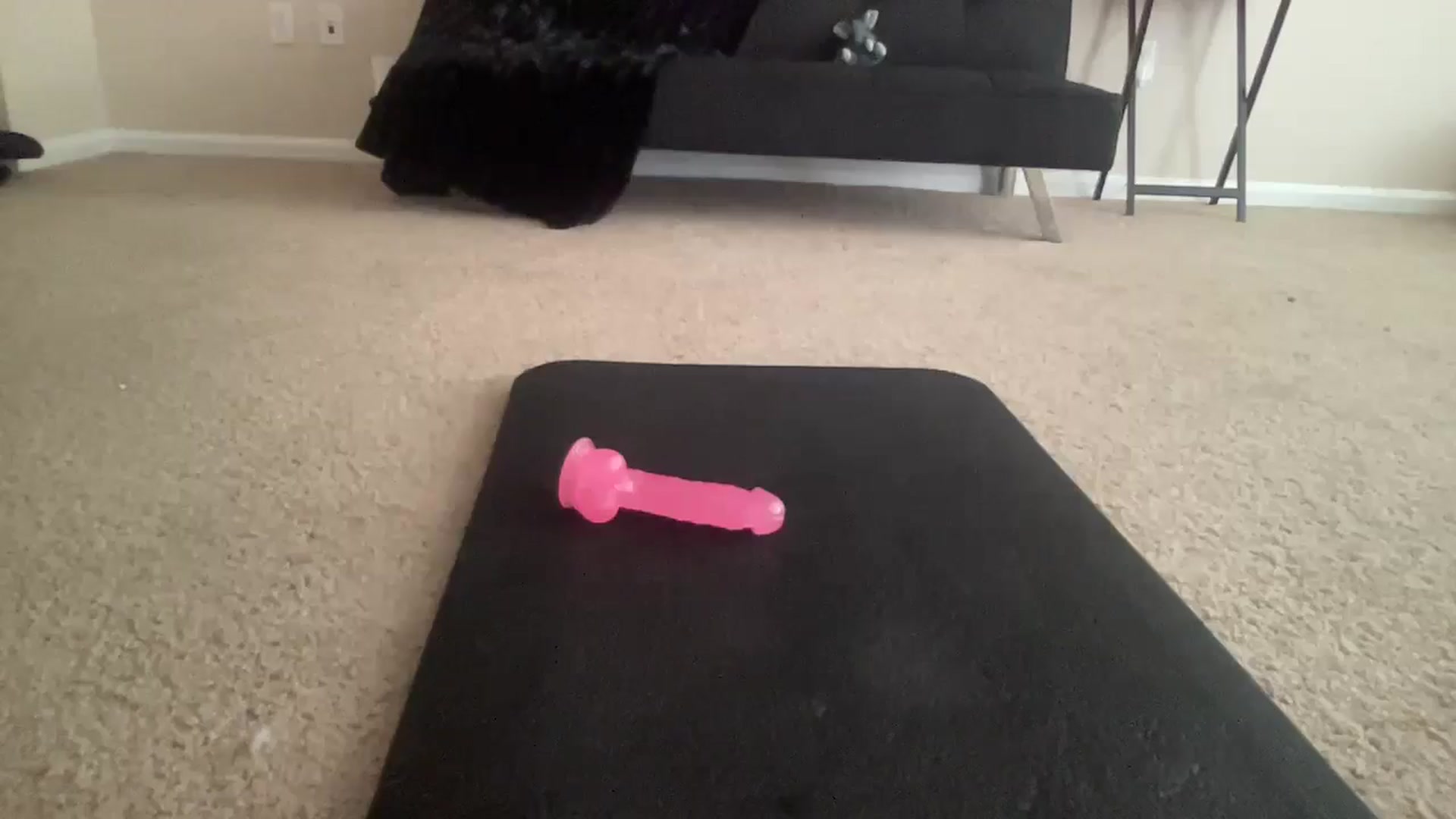 Gallery image thumbnail from BreesBirthday's myfreecams stream on, 06/13/2024, 15:56 image 12 of 20