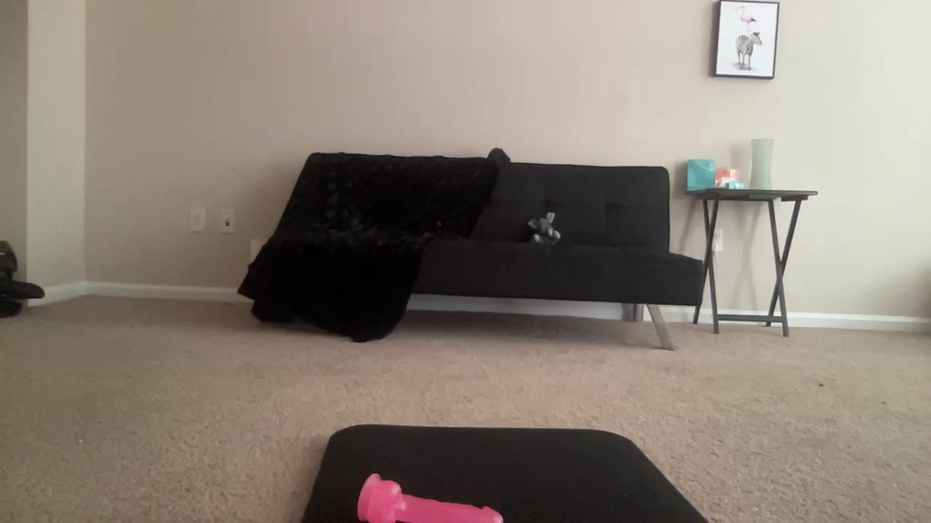 Gallery image thumbnail from BreesBirthday's myfreecams stream on, 06/13/2024, 15:56 image 15 of 20