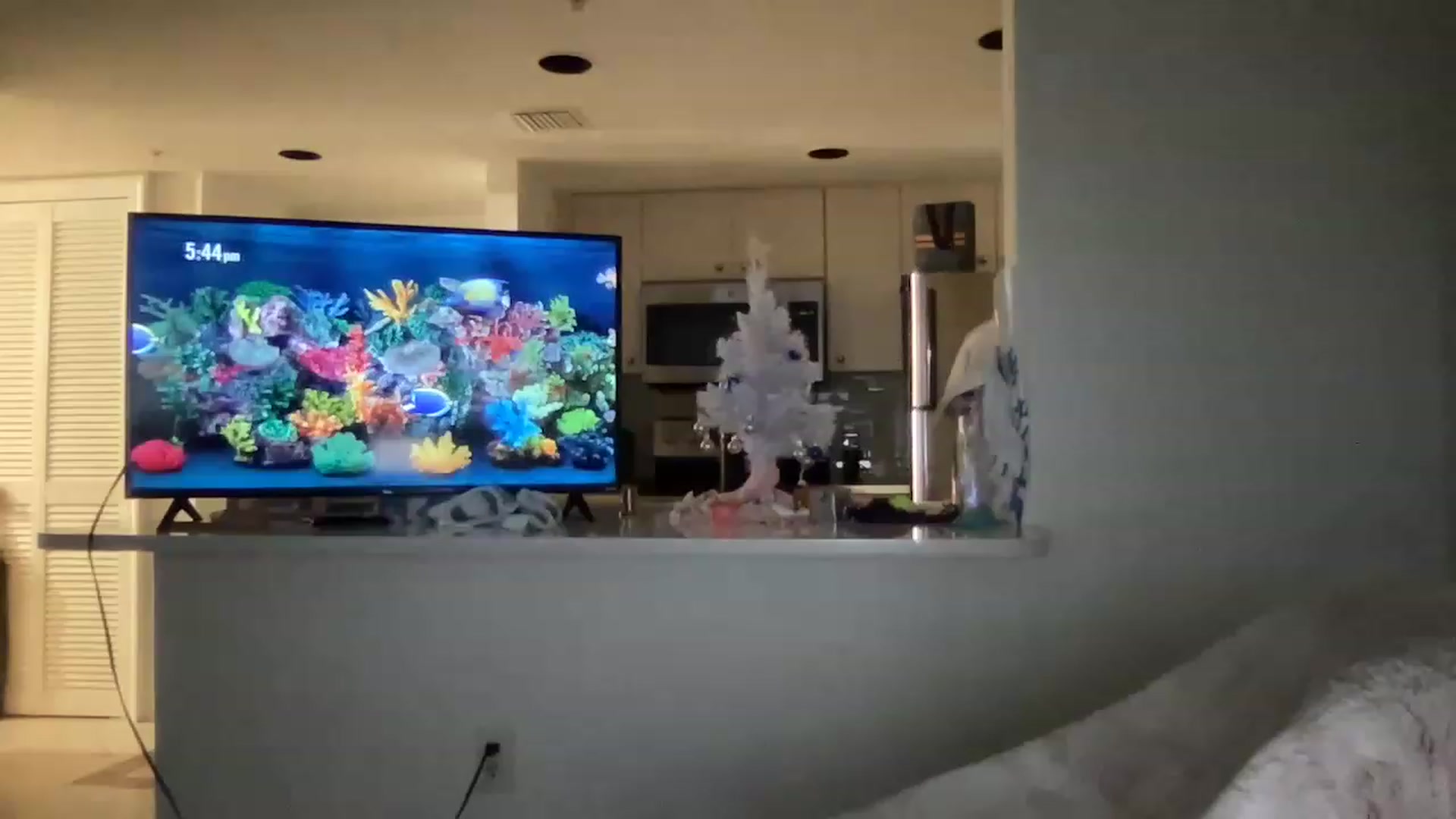 Gallery image thumbnail from Brees_ROOM's myfreecams stream on, 12/31/2022, 22:53 image 6 of 20