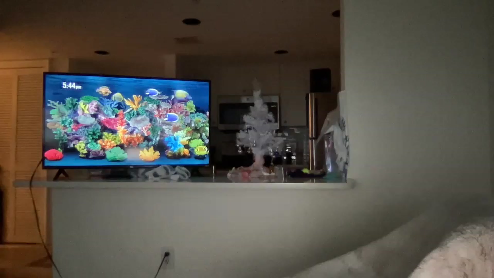 Gallery image thumbnail from Brees_ROOM's myfreecams stream on, 12/31/2022, 22:53 image 5 of 20