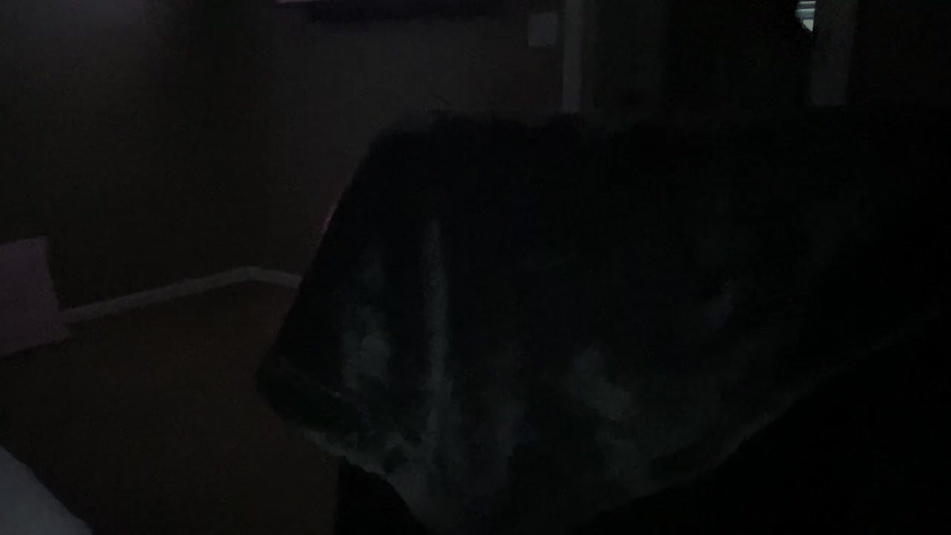 Gallery image thumbnail from Brees_ROOM's myfreecams stream on, 03/01/2023, 14:08 image 16 of 20