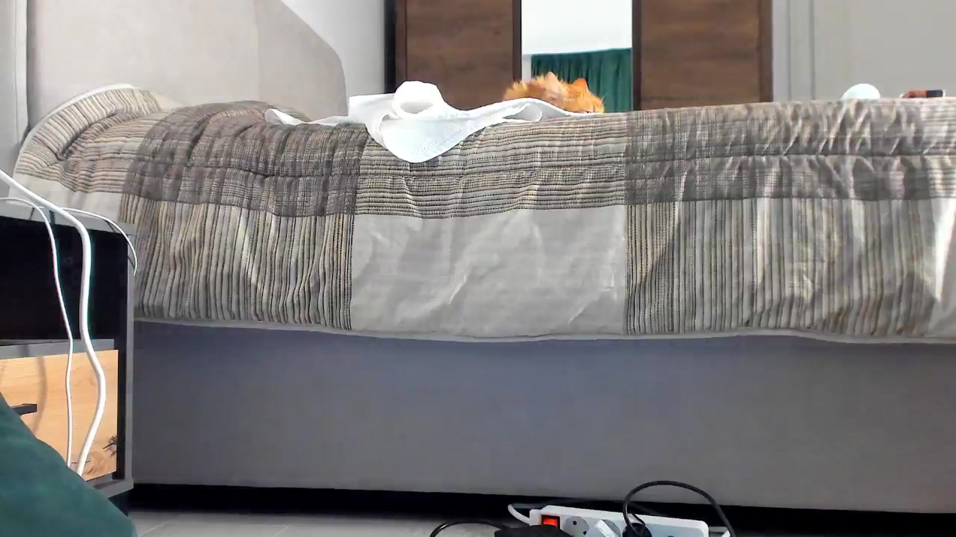 Gallery image thumbnail from Bri_Diamond's myfreecams stream on, 12/03/2024, 17:24 image 4 of 20