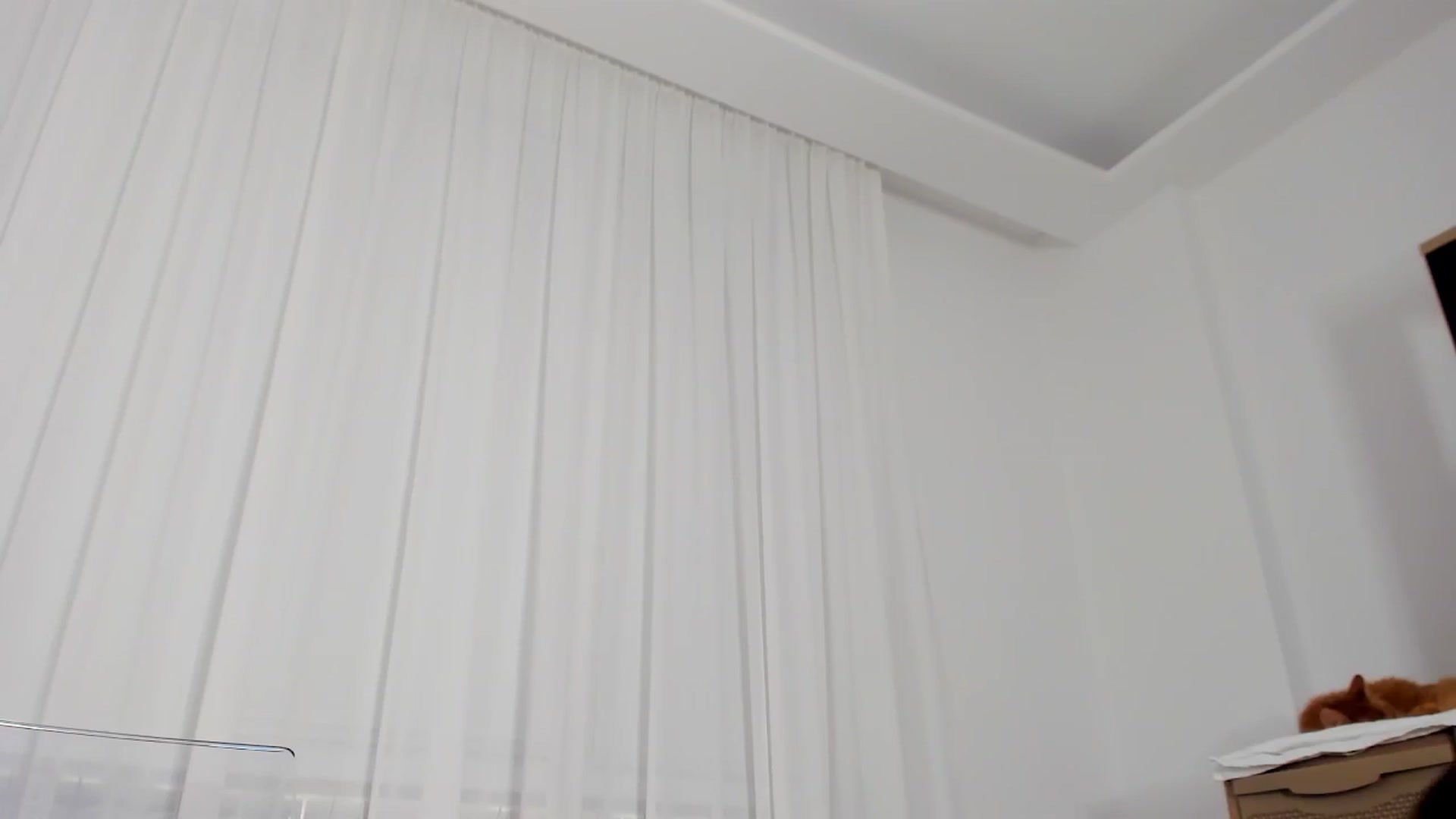 Gallery image thumbnail from Bri_Diamond's myfreecams stream on, 12/07/2024, 14:41 image 17 of 20