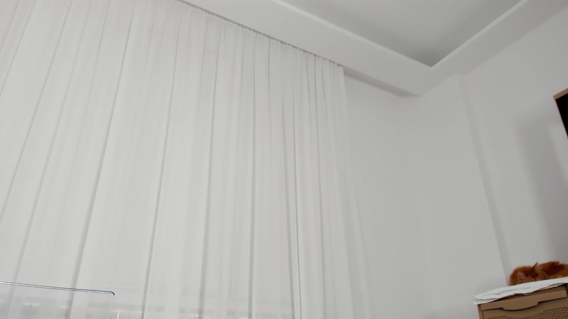 Gallery image thumbnail from Bri_Diamond's myfreecams stream on, 12/07/2024, 14:41 image 16 of 20