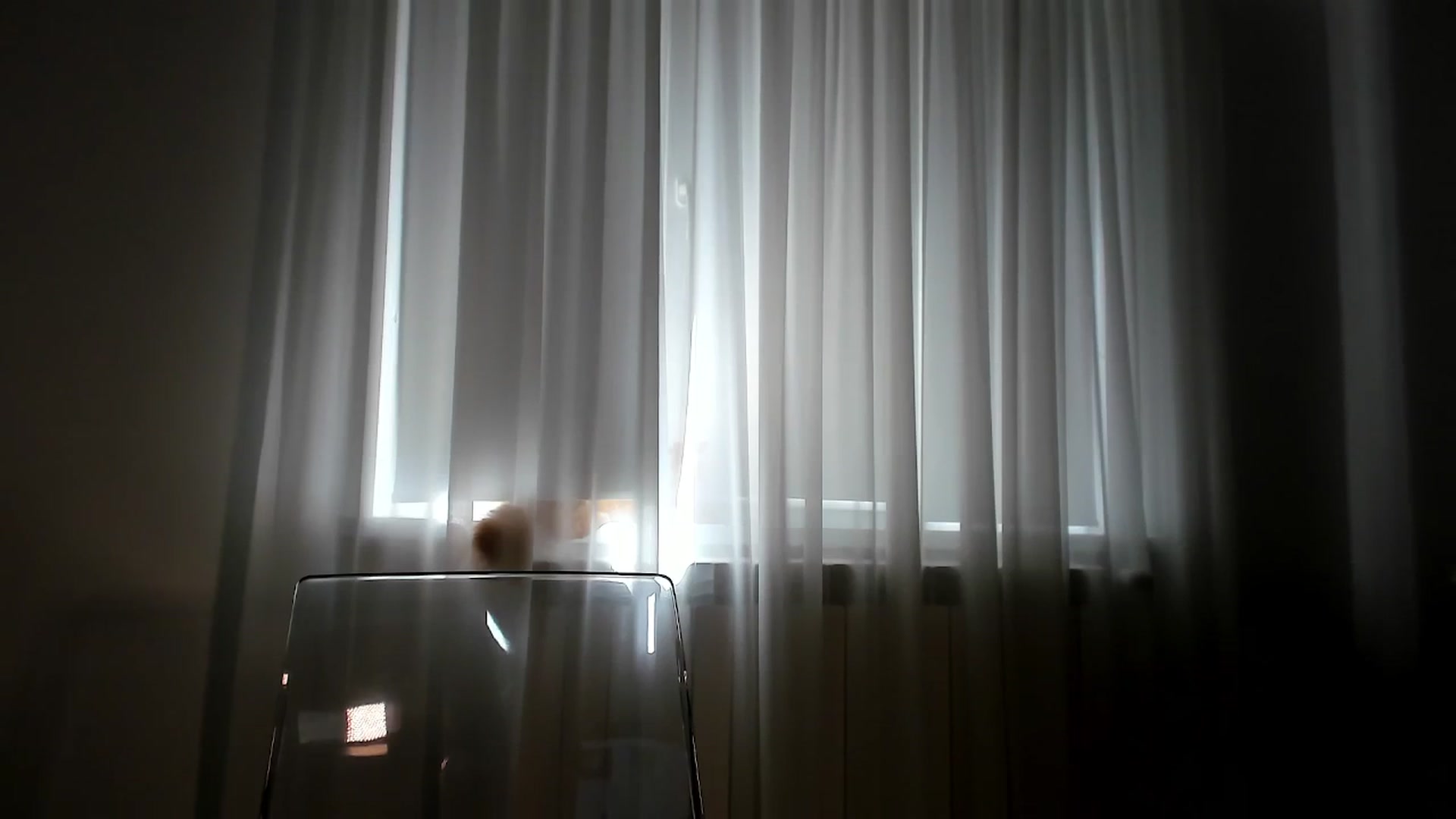 Gallery image thumbnail from Bri_Diamond's myfreecams stream on, 05/12/2025, 09:13 image 18 of 20