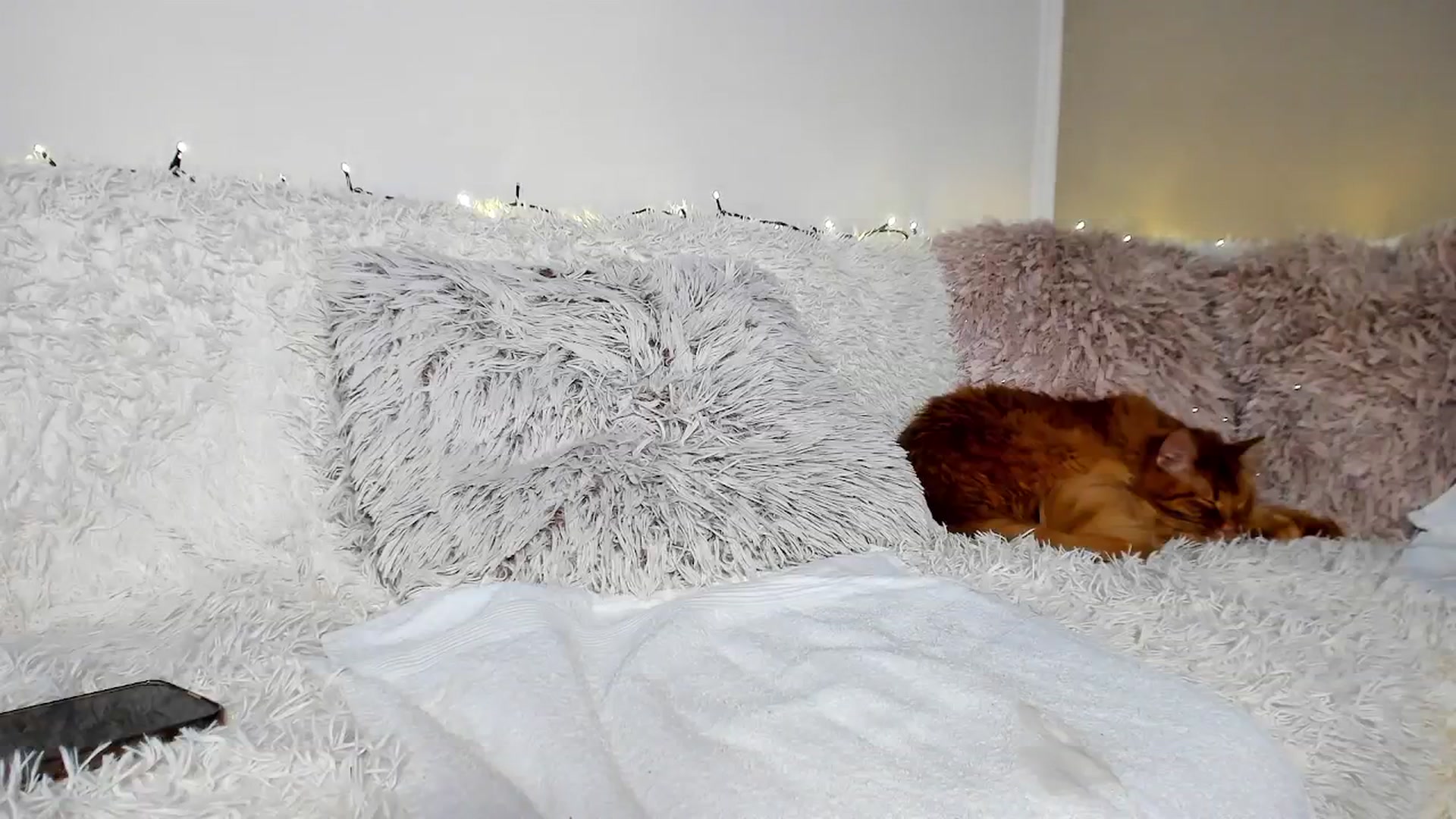 Gallery image thumbnail from Bri_Diamond's myfreecams stream on, 12/24/2025, 08:11 image 6 of 20
