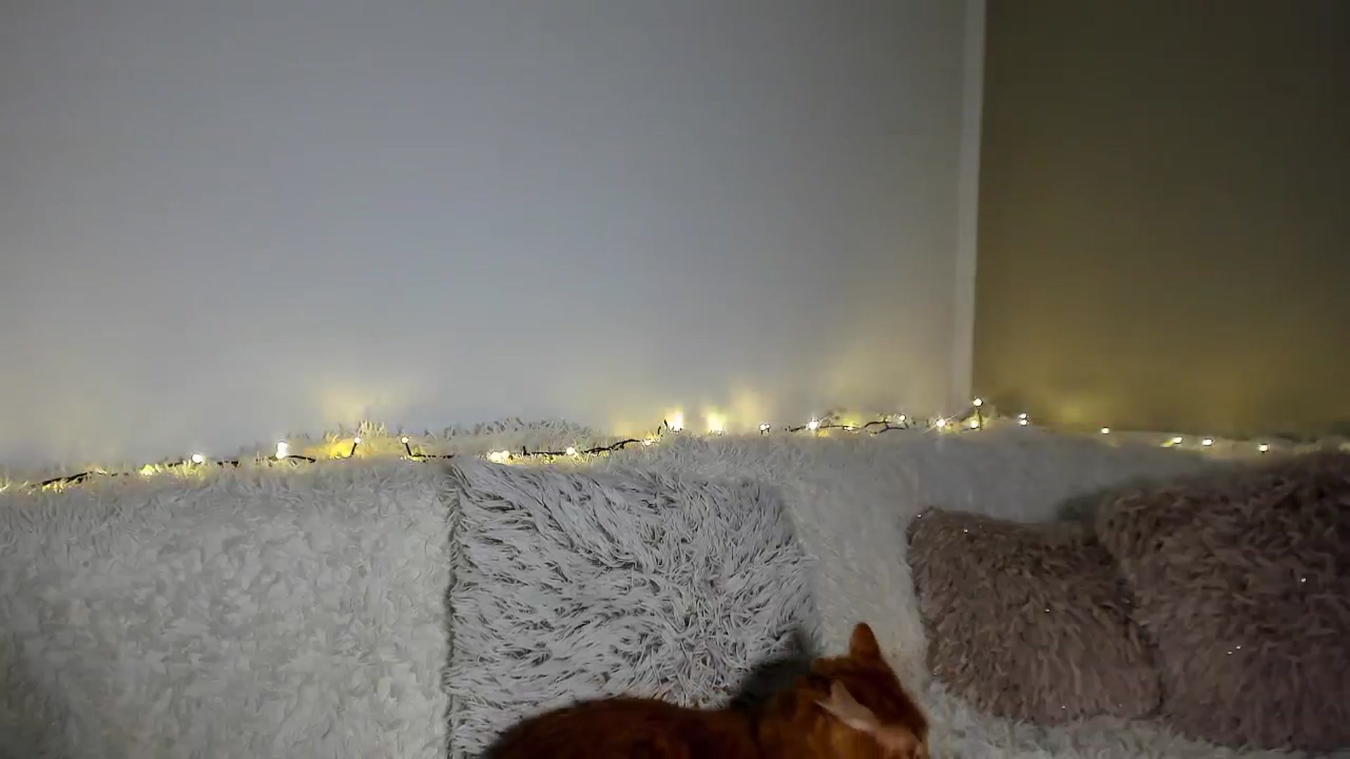 Gallery image thumbnail from Bri_Diamond's myfreecams stream on, 12/29/2025, 09:25 image 10 of 20