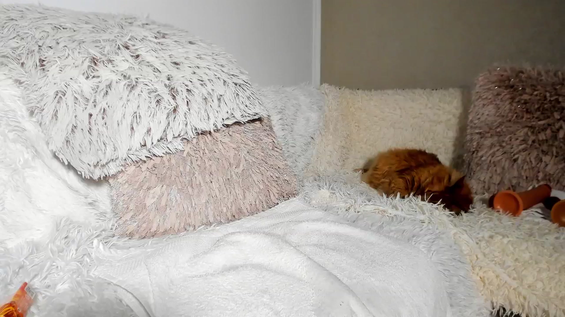 Gallery image thumbnail from Bri_Diamond's myfreecams stream on, 02/12/2026, 15:43 image 16 of 20