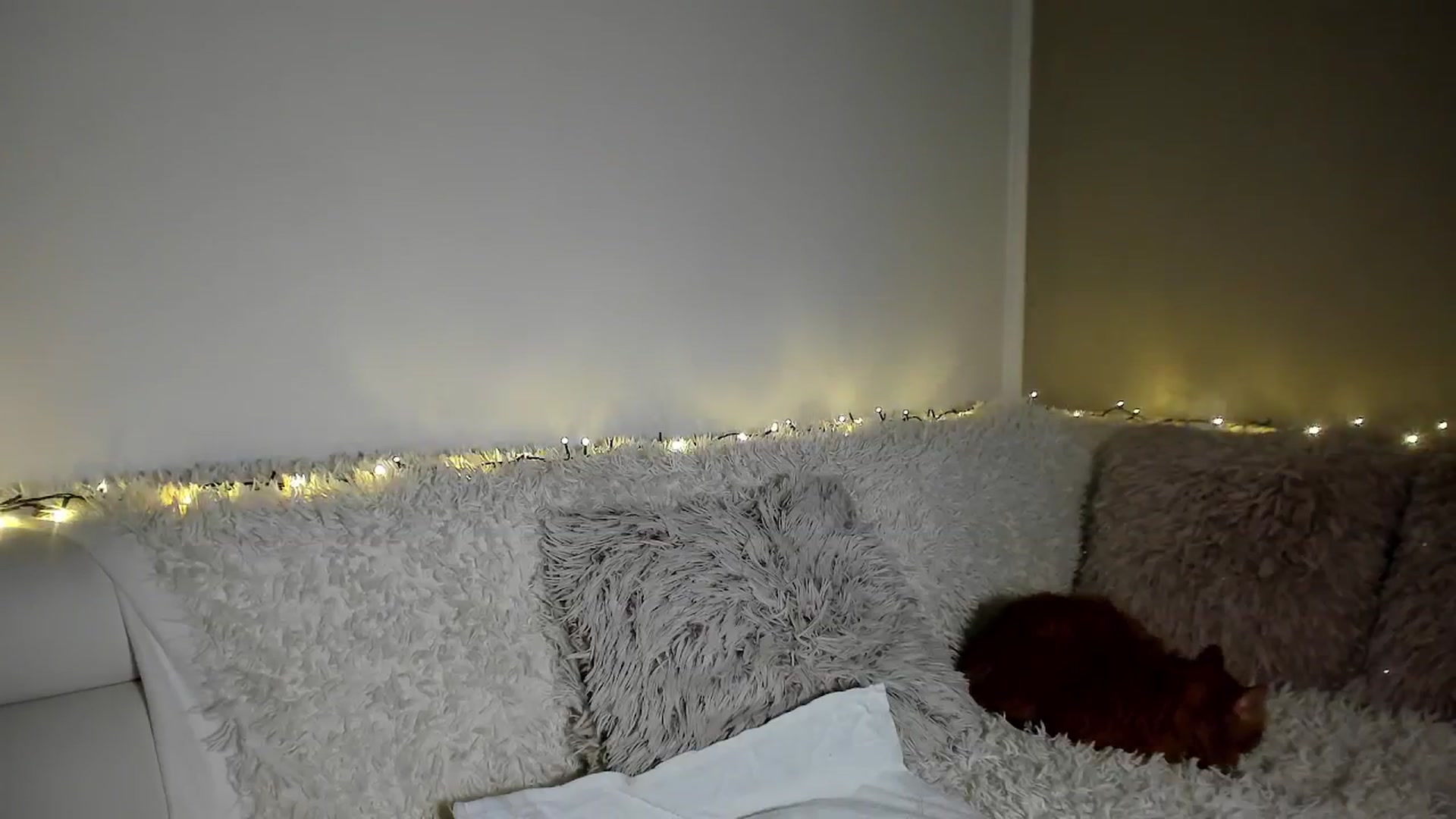 Gallery image thumbnail from Bri_Diamond's myfreecams stream on, 02/16/2026, 15:59 image 9 of 20