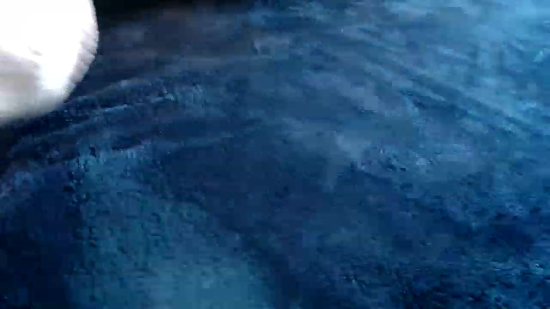 Gallery image thumbnail from BriaLea's myfreecams stream on, 03/15/2023, 20:16 image 19 of 20