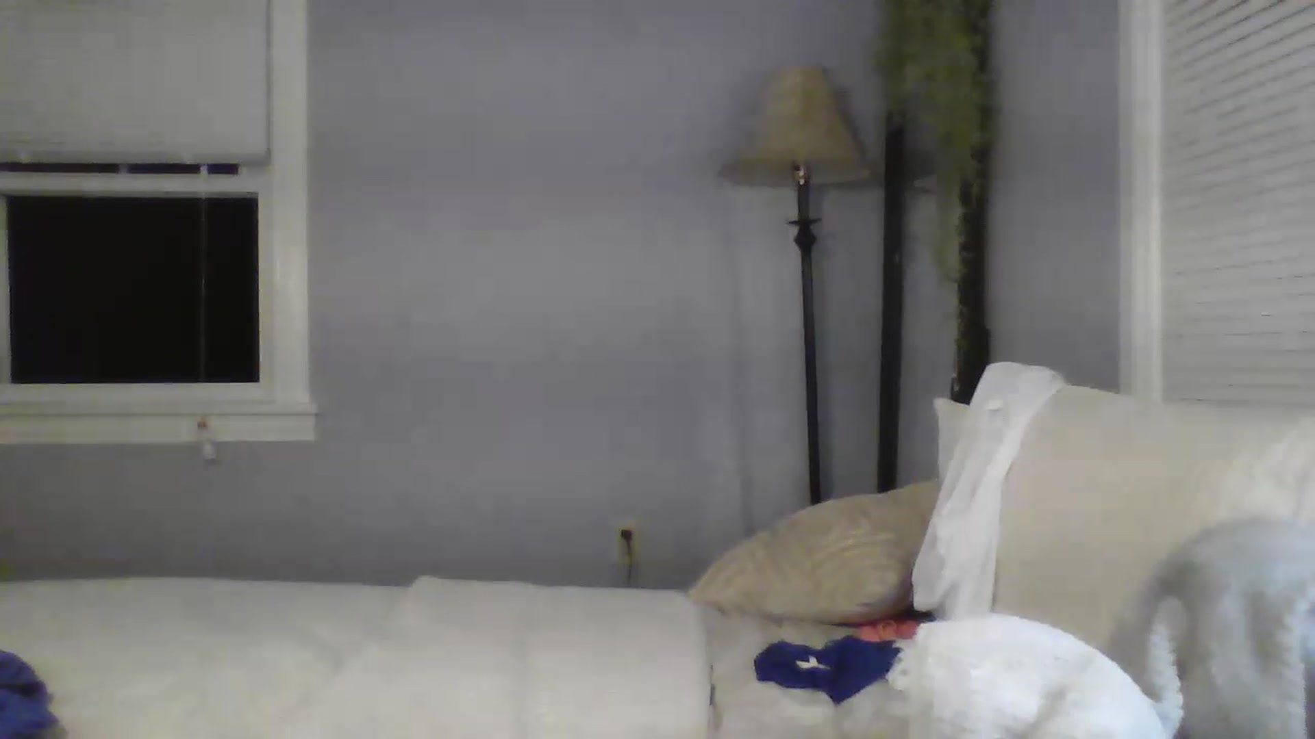 Gallery image thumbnail from Brianna8's myfreecams stream on, 05/13/2023, 04:39 image 14 of 20