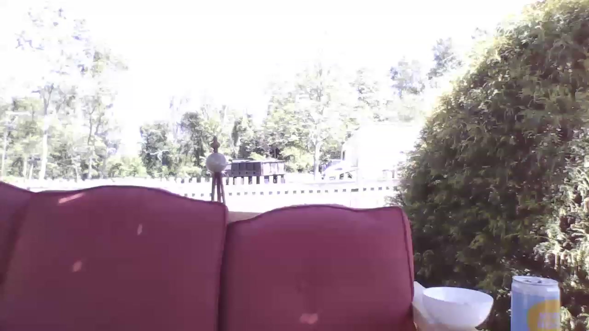 Gallery image thumbnail from Brianna8's myfreecams stream on, 05/27/2023, 19:07 image 18 of 20