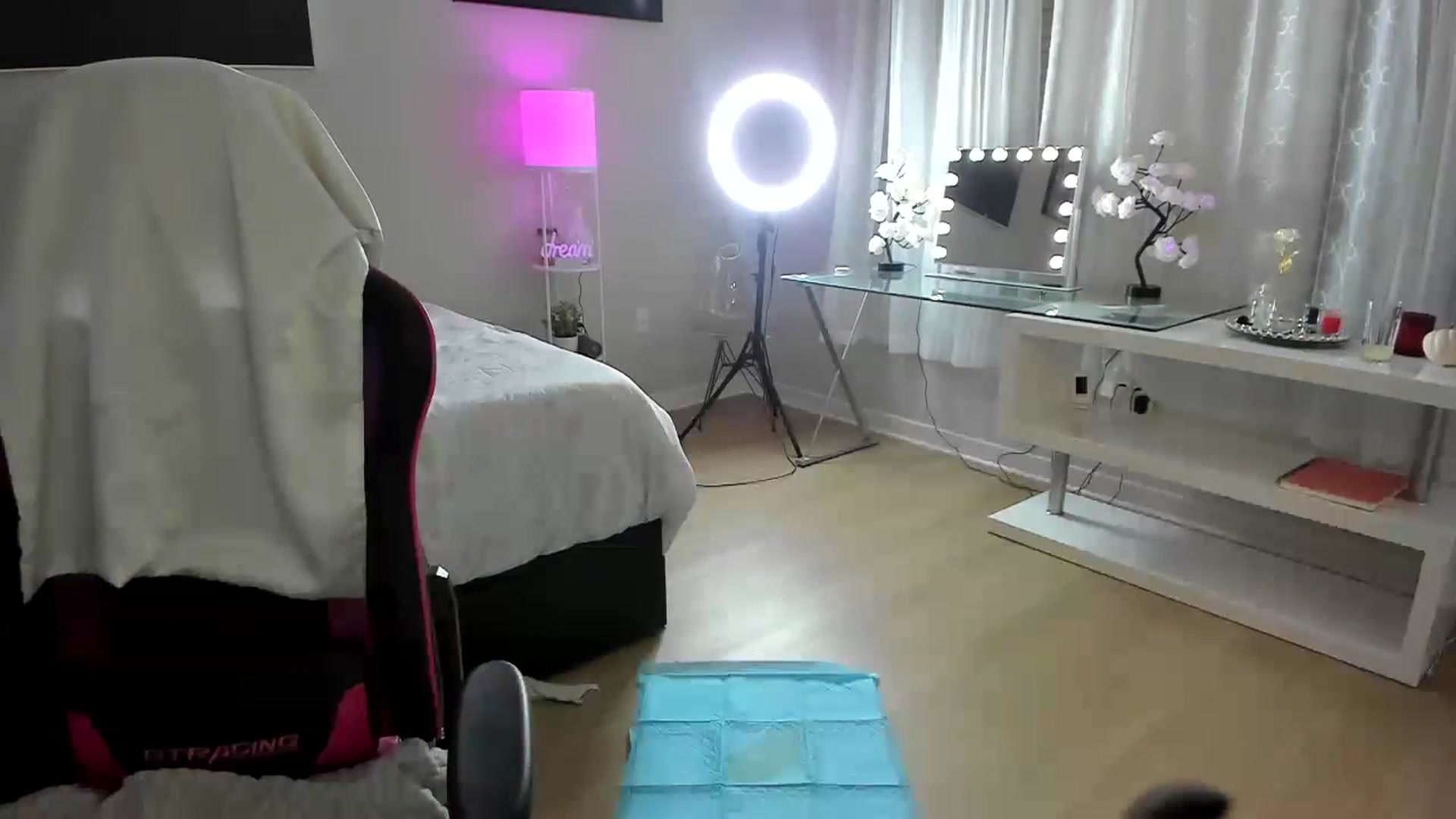 Gallery image thumbnail from BrinaNellie_'s myfreecams stream on, 10/12/2023, 01:56 image 16 of 20