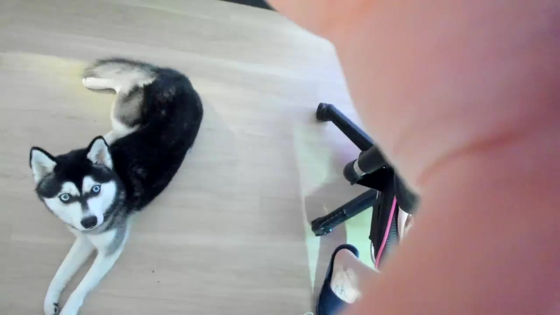 Gallery image thumbnail from BrinaNellie_'s myfreecams stream on, 05/10/2024, 02:37 image 5 of 20