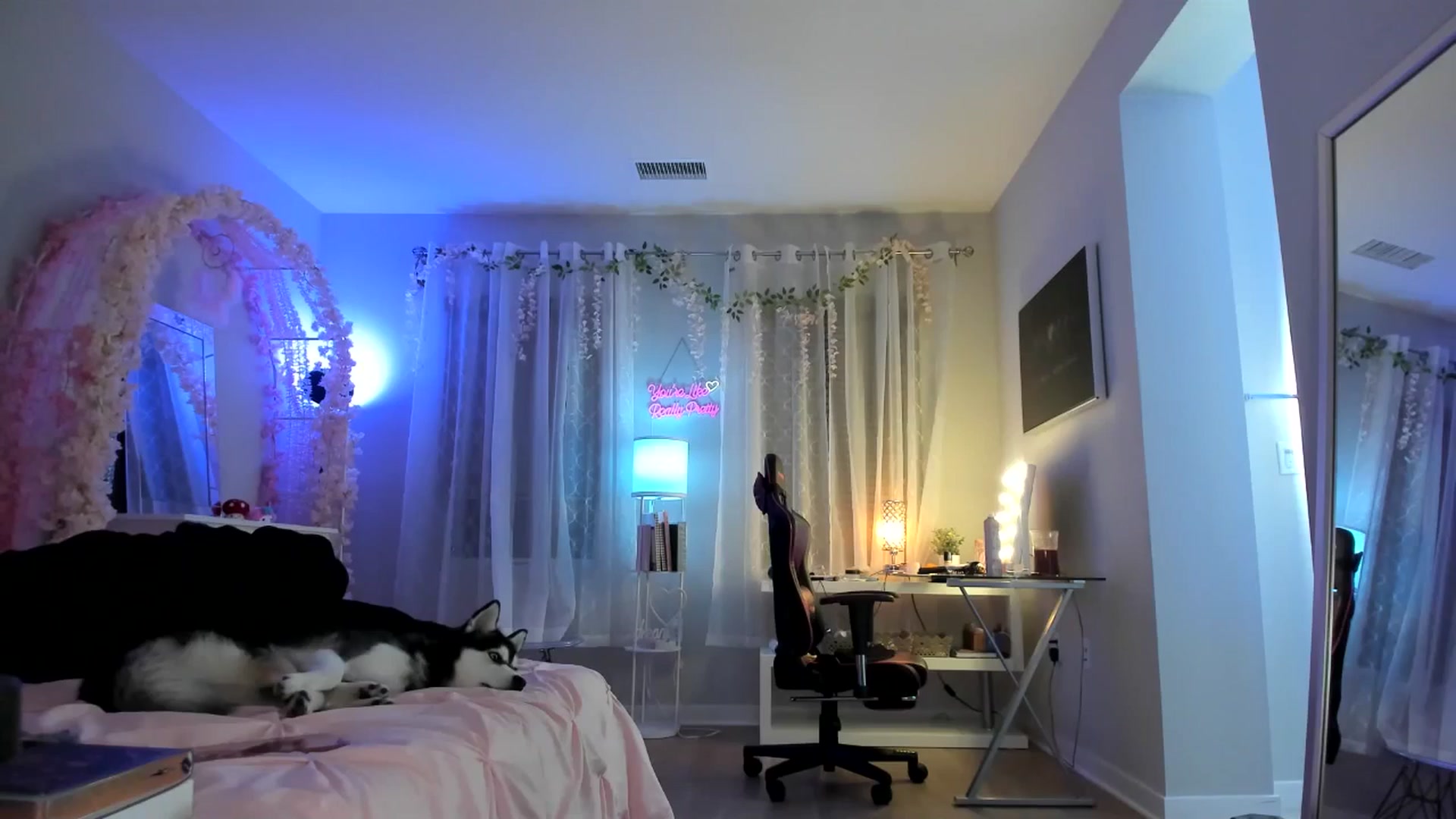 Gallery image thumbnail from BrinaNellie_'s myfreecams stream on, 12/20/2024, 06:19 image 3 of 20