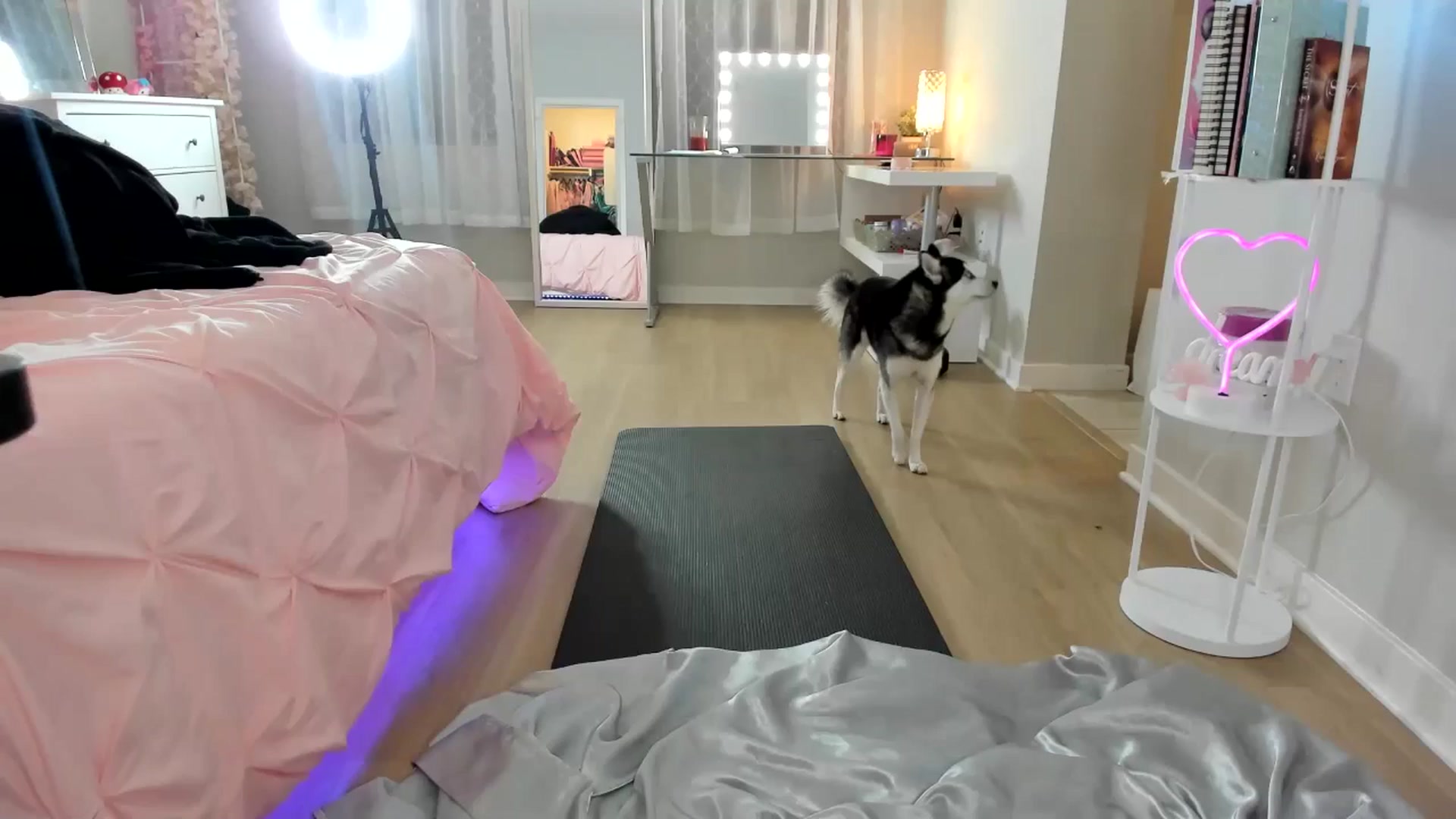 Gallery image thumbnail from BrinaNellie_'s myfreecams stream on, 12/23/2024, 03:55 image 1 of 20