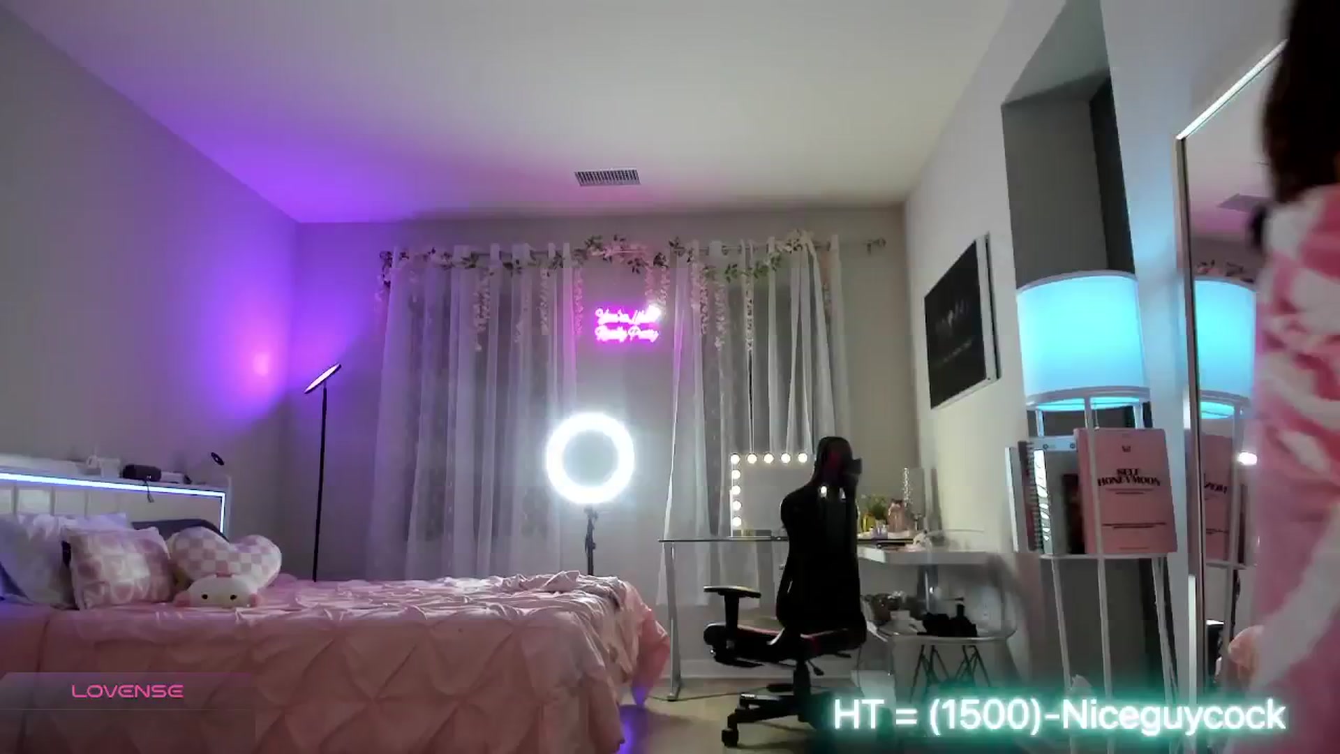 Gallery image thumbnail from BrinaNellie_'s myfreecams stream on, 01/03/2025, 07:20 image 12 of 20