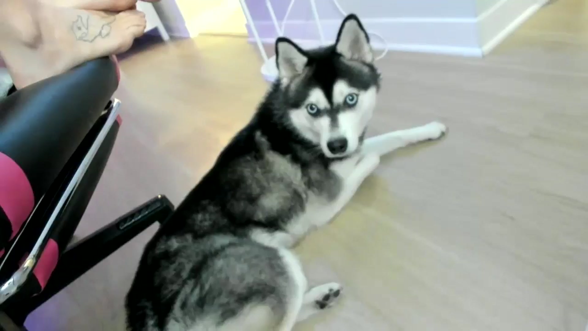Gallery image thumbnail from BrinaNellie_'s myfreecams stream on, 01/17/2025, 08:23 image 1 of 20