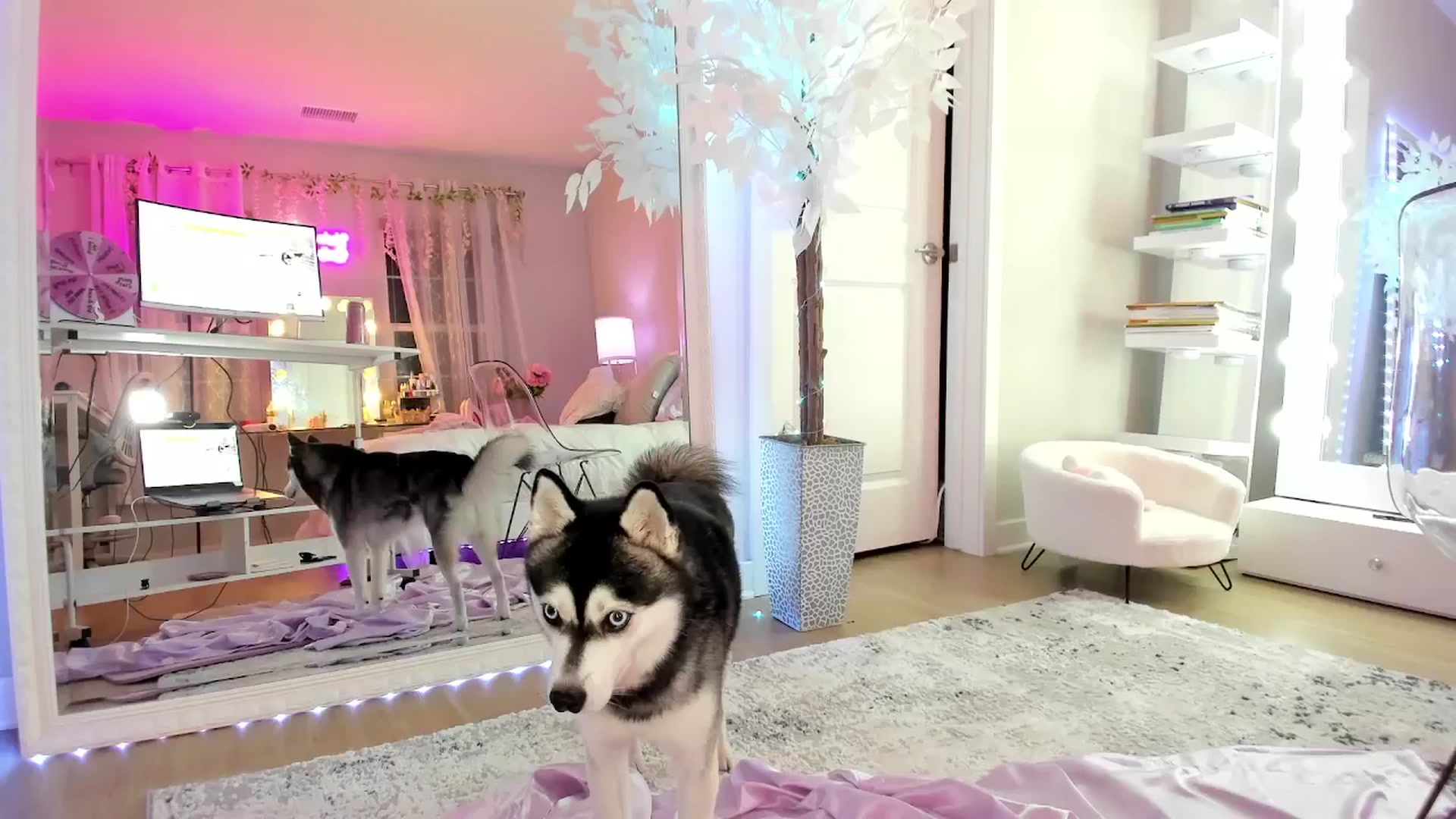 Gallery image thumbnail from BrinaNellie_'s myfreecams stream on, 11/16/2025, 03:41 image 17 of 20
