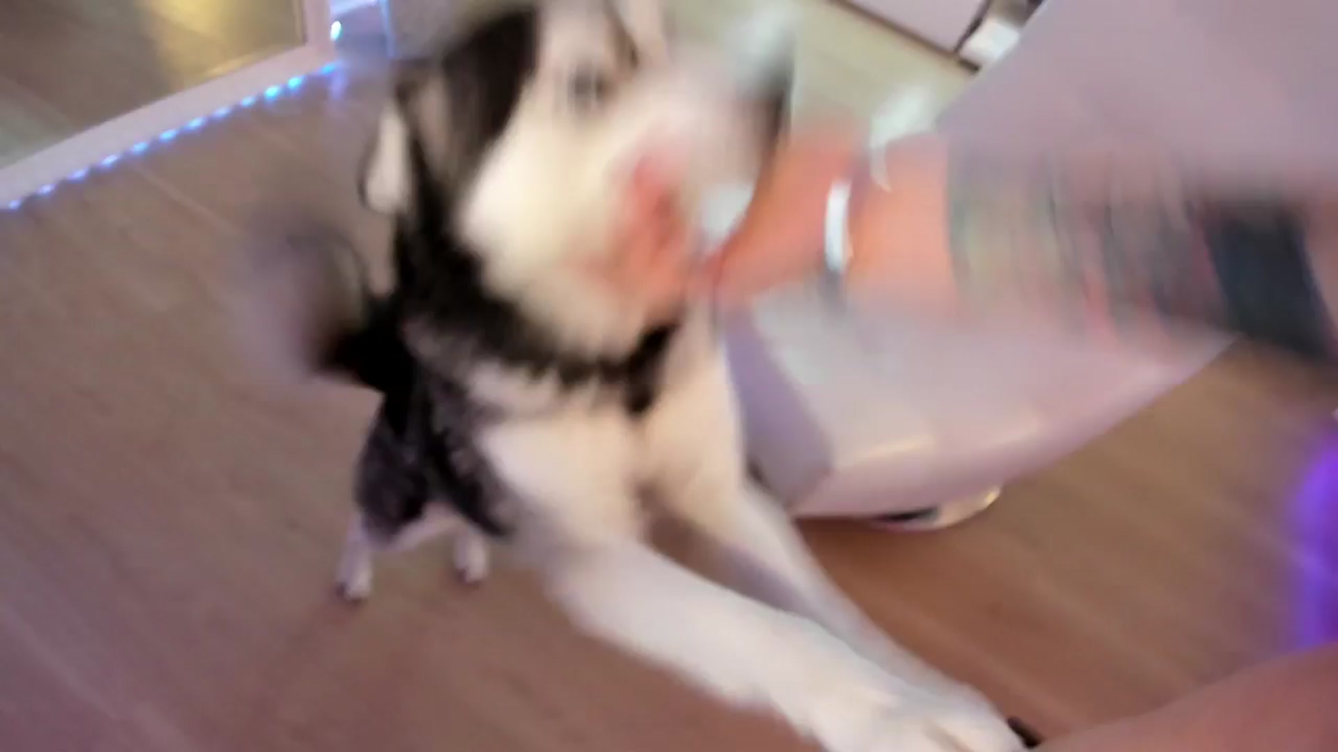 Gallery image thumbnail from BrinaNellie_'s myfreecams stream on, 11/21/2025, 24:31 image 11 of 20