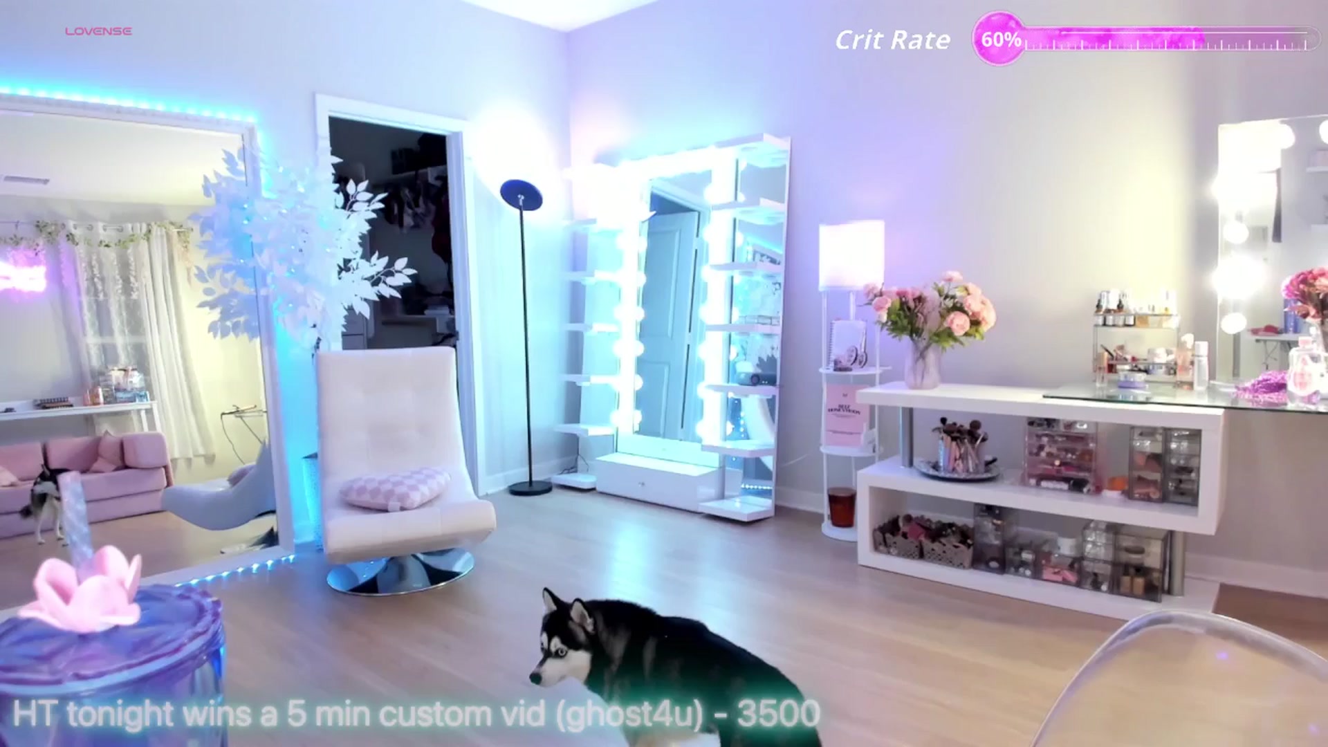 Gallery image thumbnail from BrinaNellie_'s myfreecams stream on, 12/06/2025, 06:33 image 11 of 20