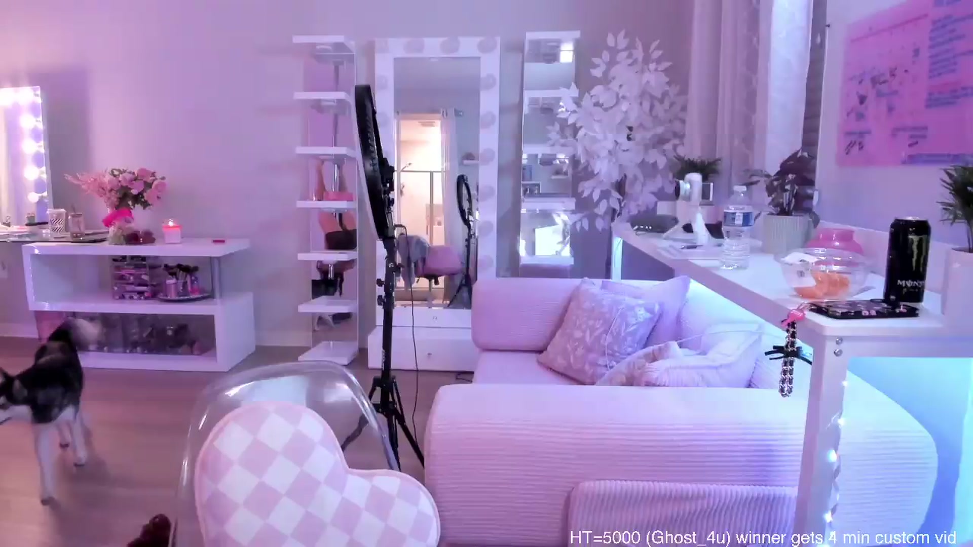 Gallery image thumbnail from BrinaNellie_'s myfreecams stream on, 04/25/2026, 05:11 image 16 of 20