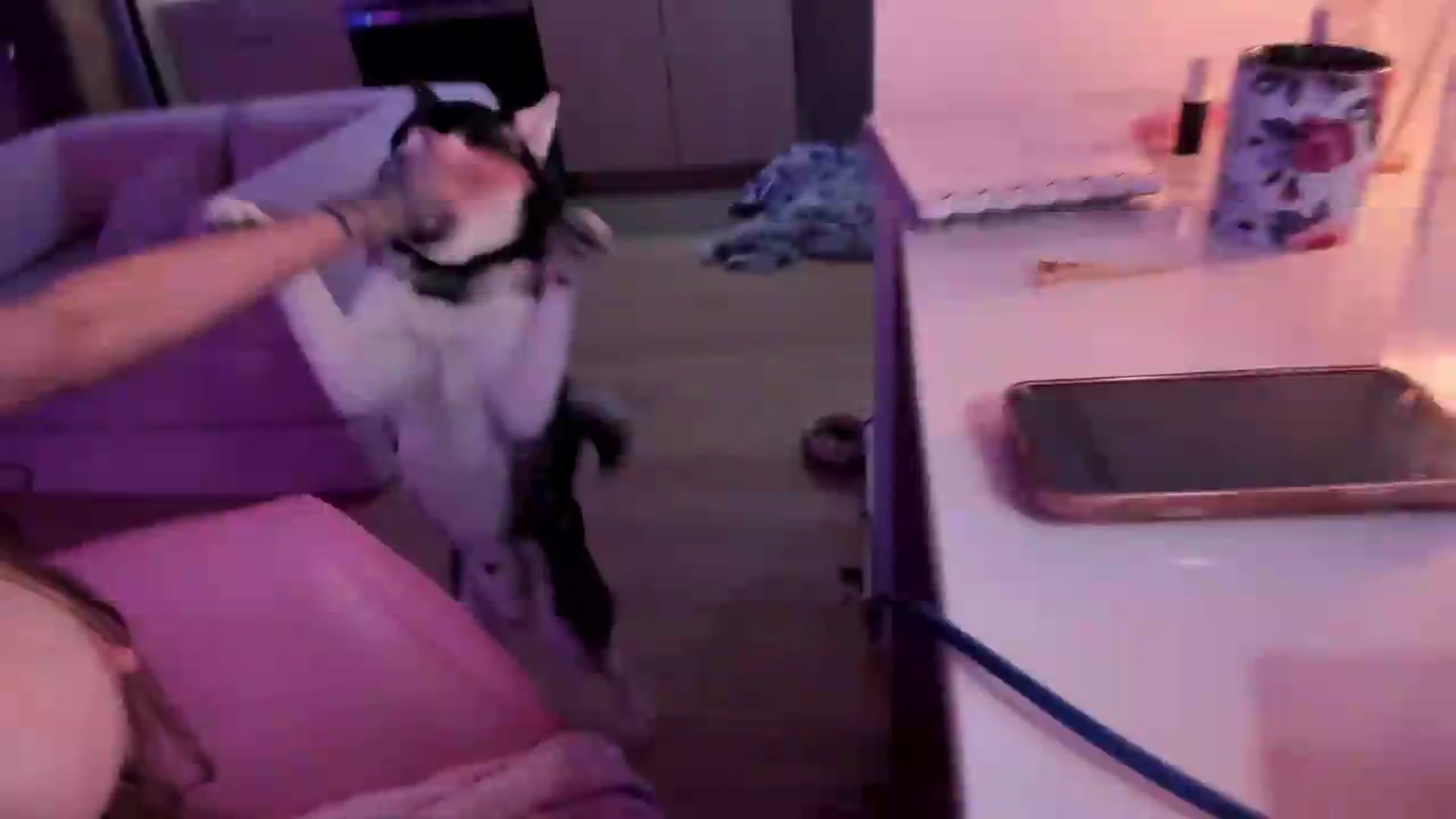 Gallery image thumbnail from BrinaNellie_'s myfreecams stream on, 08/27/2026, 11:52 image 6 of 20