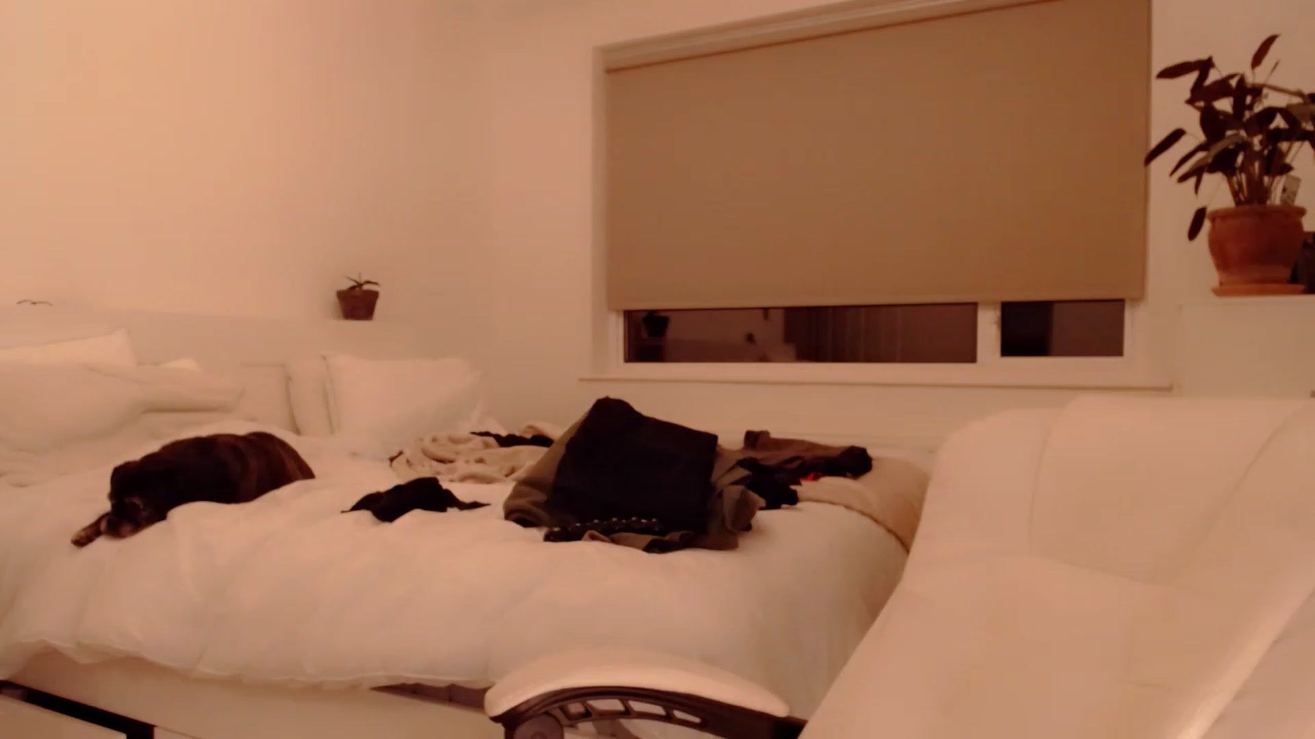 Gallery image thumbnail from BritHousewife's myfreecams stream on, 11/15/2022, 17:24 image 14 of 20