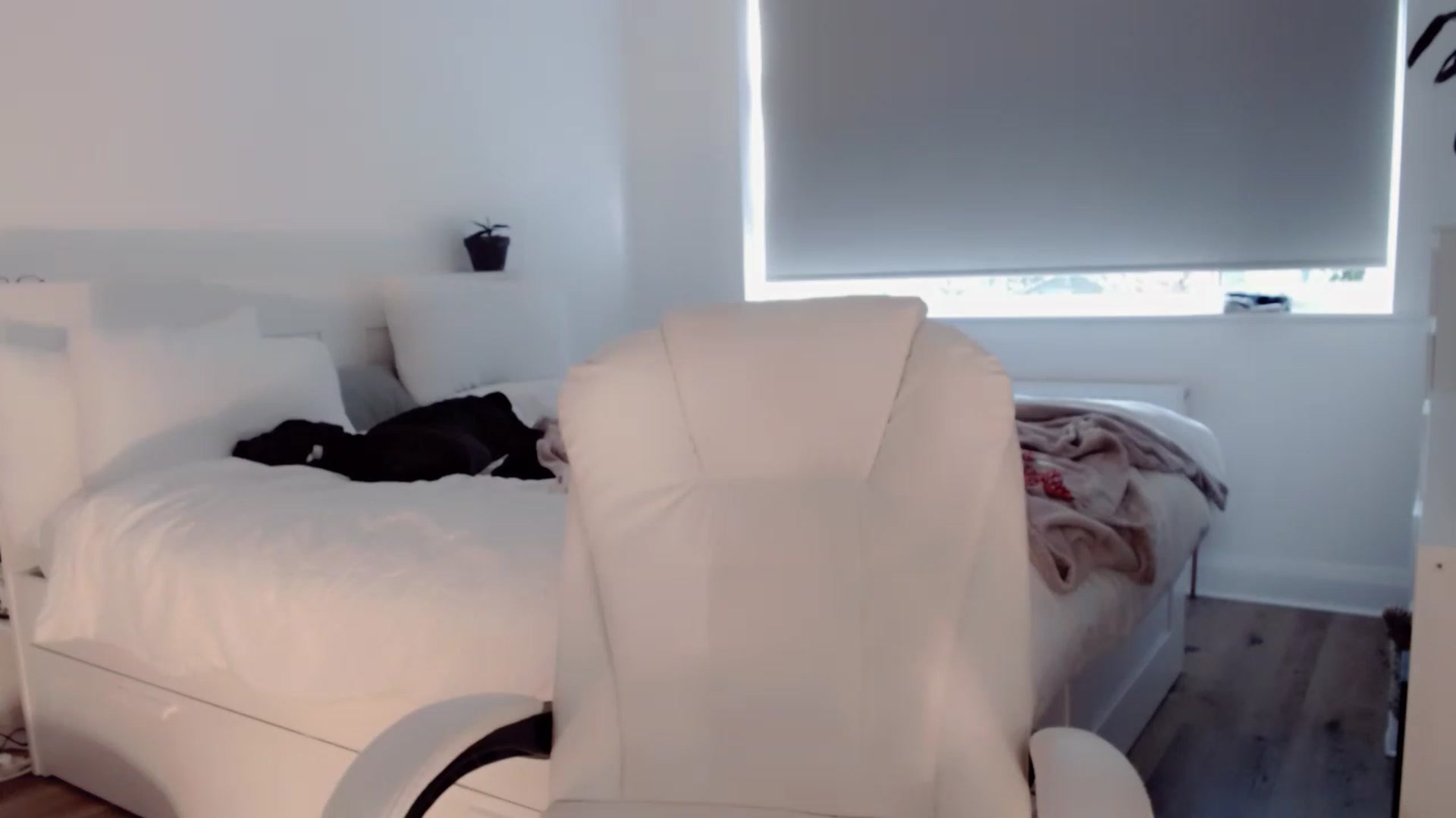 Gallery image thumbnail from BritHousewife's myfreecams stream on, 11/17/2022, 11:39 image 19 of 20