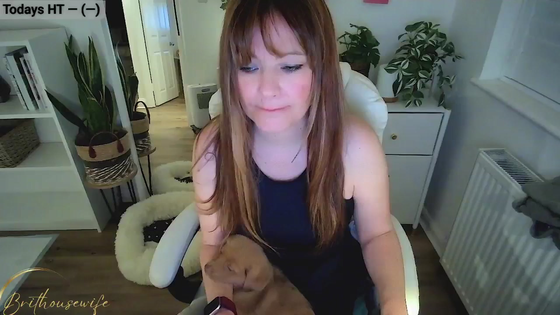 Gallery image thumbnail from BritHousewife's myfreecams stream on, 11/09/2024, 17:36 image 2 of 20