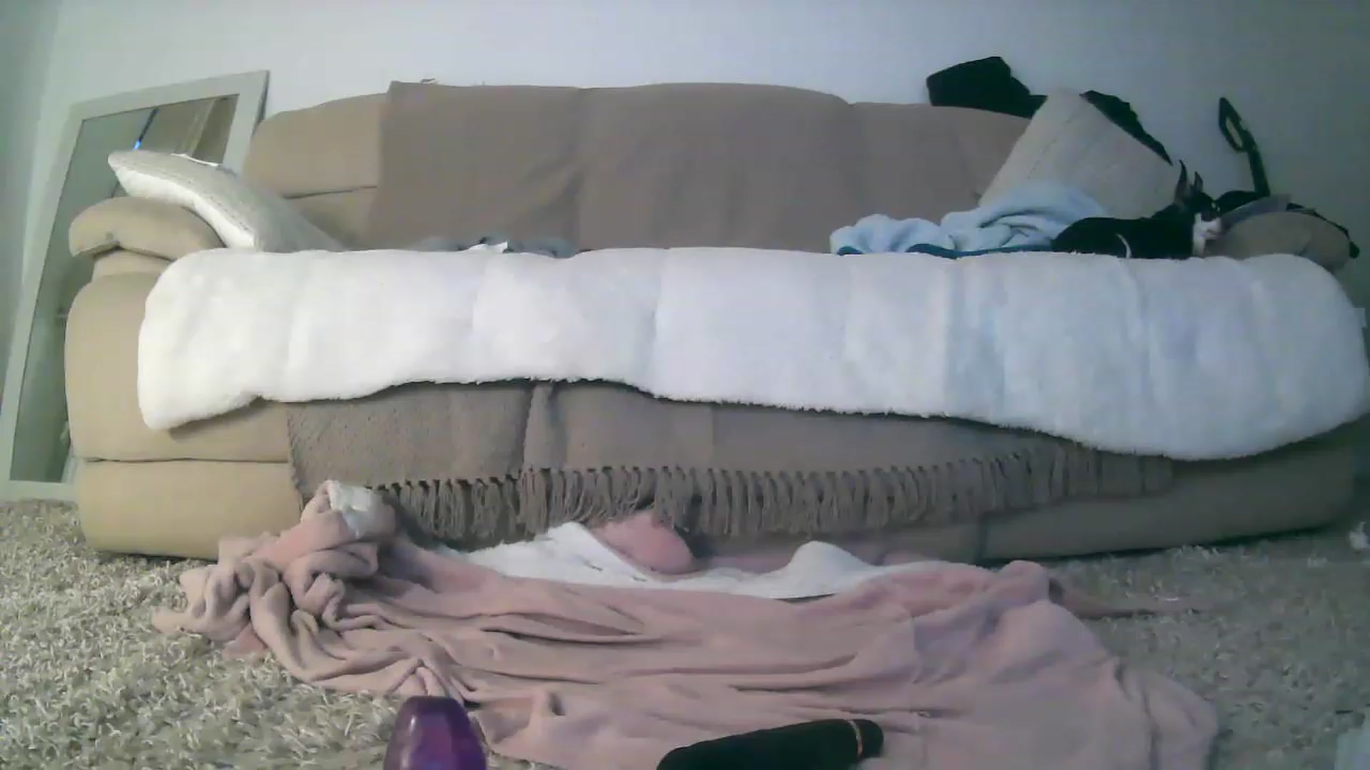 Gallery image thumbnail from British_Babex's myfreecams stream on, 11/24/2022, 17:00 image 8 of 20