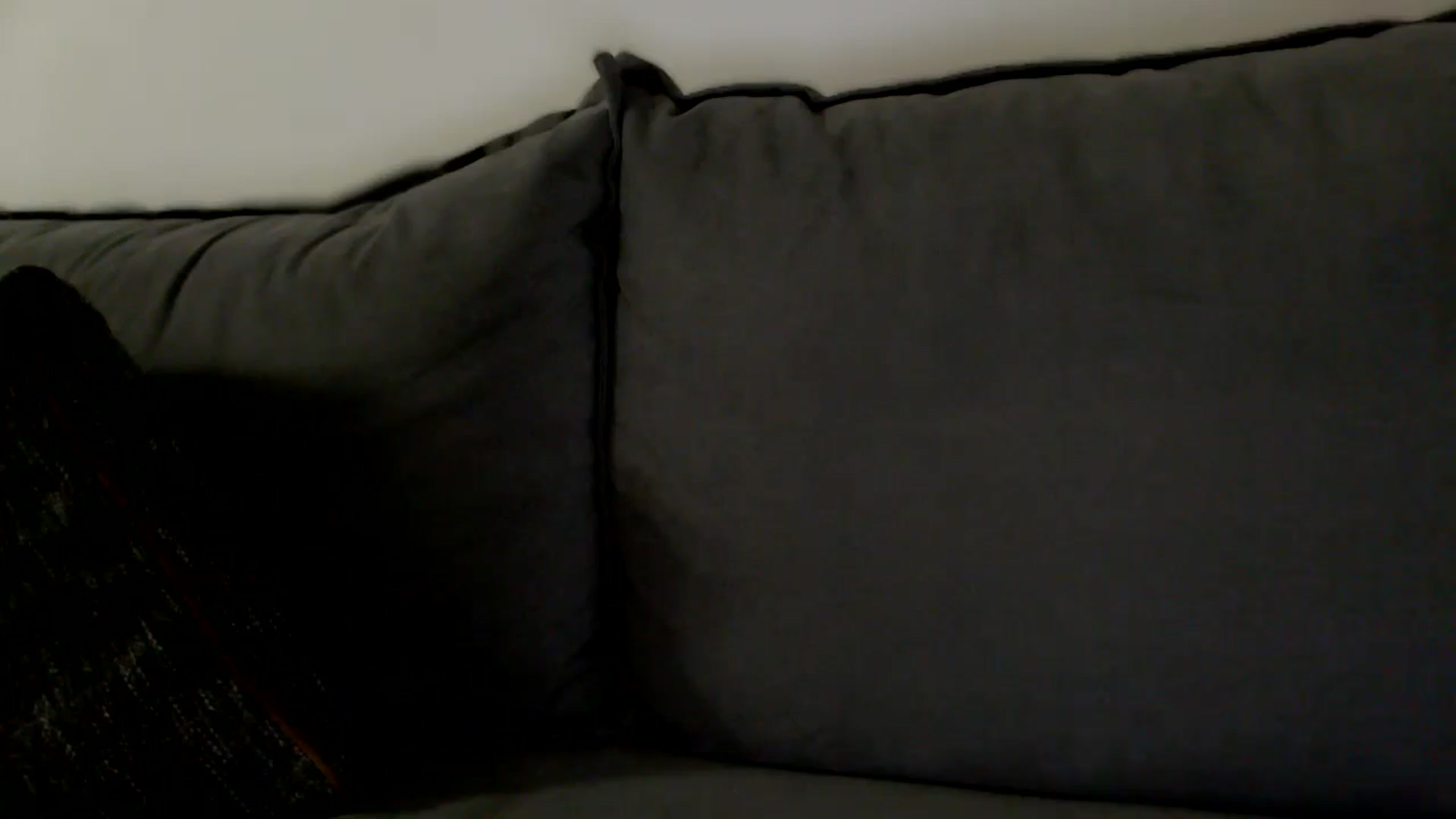 Gallery image thumbnail from British_Cutie's myfreecams stream on, 12/16/2025, 22:40 image 4 of 20